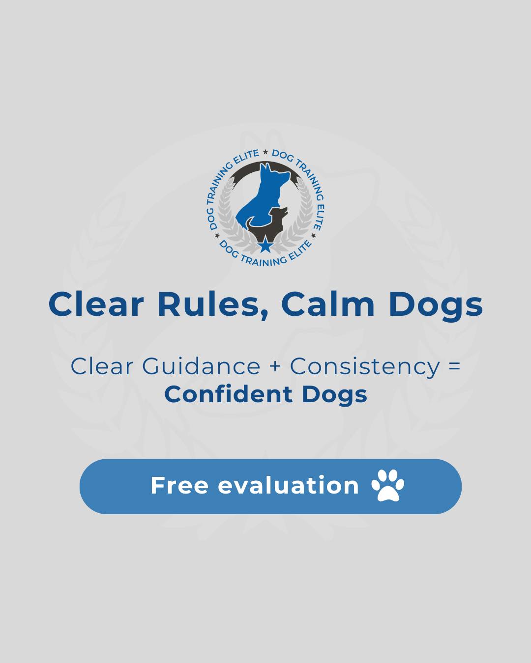 At Dog Training Elite North Atlanta, we believe dogs thrive when they understand expectations. Balanced training gives your dog structure and consistency, fostering confidence and focus in every environment. Calm, confident dogs make happy families.

🎯From basic obedience to advanced service dog training, Dog Training Elite North Atlanta helps dogs near Roswell build better behavior and stronger bonds this season. 🐾
 📍 https://maps.app.goo.gl/GXTwtGnXYGwMTwM1A

 

