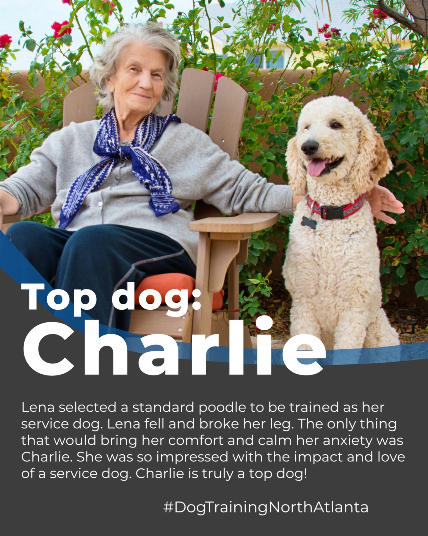 When Lena selected a standard poodle to be trained as her service dog, she had no idea just how important Charlie would become.
After a serious fall left her with a broken leg, Lena struggled with mobility and anxiety.

 But Charlie was by her side every step of the way—providing stability, comfort, and confidence. He helped her regain her independence and truly get back on her feet.
Families across North Atlanta, from Marietta to Alpharetta, are discovering the life-changing impact of professionally trained service dogs like Charlie.

💙 Charlie, you’re not just a good boy—you’re a top dog!

