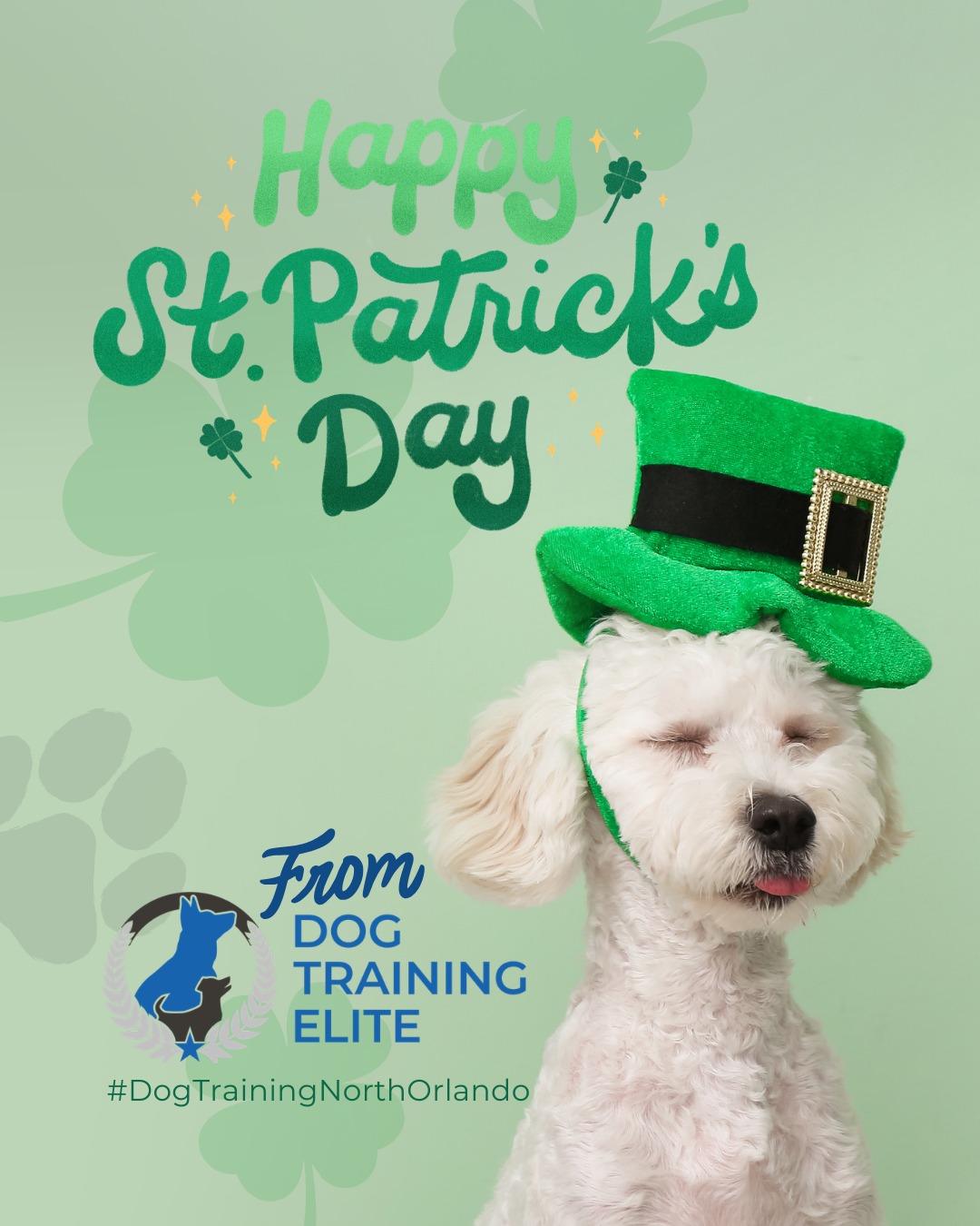 Our clients & their pups always make us feel the luckiest 🍀 

From DTE we want to wish you a St. Patrick&rsquo;s Day filled with extra playtime, confidence-building games, and fun training challenges. A little luck goes a long way when you&rsquo;re strengthening focus, calm behavior, and your bond. Show your dog some love and let them shine today!

🎯 Warm up your winter with a well-trained pup. Schedule your free in-home evaluation and see why families in Dommerich Estates, Old Winter Park, and surrounding areas trust Dog Training Elite for results that last through every season.
📍 https://maps.app.goo.gl/ppJCTnWuEJJonM3y8



 