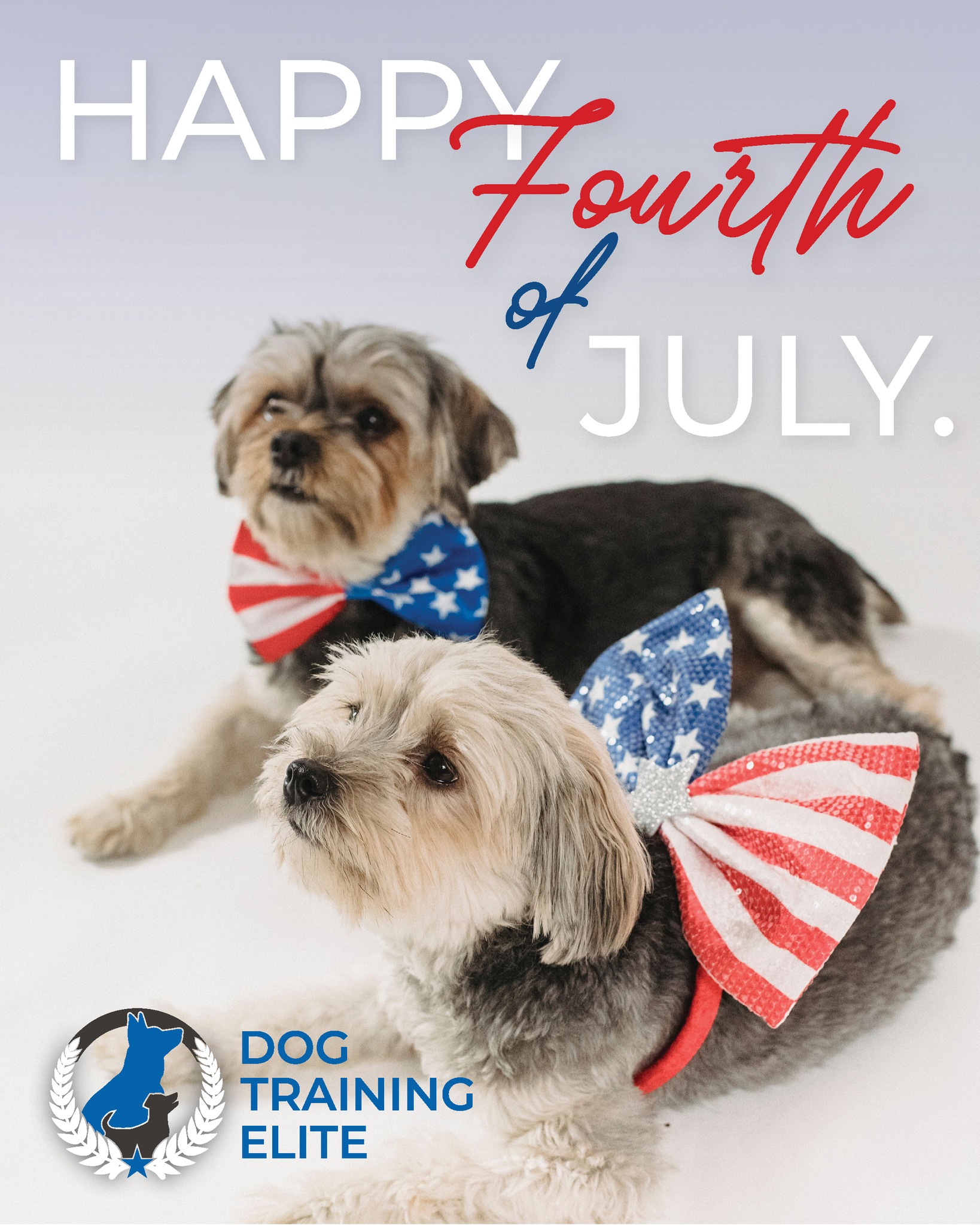 Happy 4th of July from Dog Training Elite NE Atlanta! 🎆🐾

We hope your day is filled with family, fun, and celebration&mdash;and that your pups stay safe and comfortable through the festivities. Remember to keep dogs secure indoors during fireworks and give them a calm place to relax.

Wishing everyone a safe and happy Independence Day ❤️🤍💙

