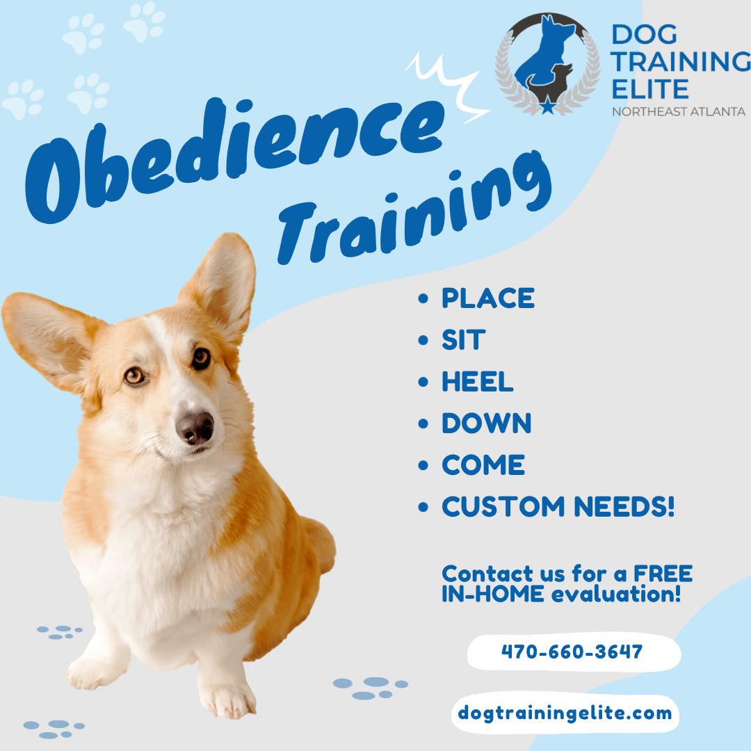 At Dog Training Elite, we work with dogs of any breed, size or age - and we empower owners with lifelong skills to continue successes! Give us a call to schedule your free in-home evaluation!