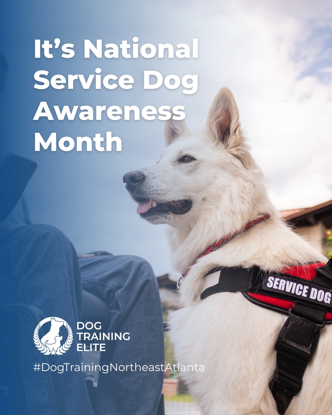 September is National Service Dog Awareness Month! 🐾

At Dog Training Elite Northeast Atlanta, we're proud to offer personalized service dog training designed to meet each handler’s unique needs: whether it’s PTSD support, autism assistance, or mobility aid. Our balanced reinforcement techniques build trust and create highly reliable service teams.

🐾 Schedule your free in-home evaluation today and see why families in Woodstock, Cumming and Suwanee trust Dog Training Elite for real results.
📲Spread the word! Families in Woodstock and Milton deserve training that really works. Share this post and help a neighbor unlock their pup’s potential with Dog Training Elite. 🐾✨
📍https://maps.app.goo.gl/R7TD2csm9eBgvCdU9


