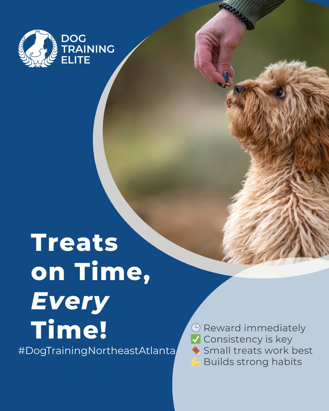 Rewarding your dog at the right moment makes all the difference in training success. Remember: timing matters more than the size of the treat! Here’s how to make every reward count:

🍪 Reward immediately after the behavior
 ⏳ Keep sessions short and consistent
 🎯 Use small, high-value treats
 💪 Reinforce habits gradually for long-term success

At Dog Training Elite Northeast Atlanta, we help dogs and their handlers build strong, reliable behaviors—one perfectly timed treat at a time.

🎯 Ready for a happier, calmer pup? 🐾 Schedule your free in-home evaluation and see why neighbors across Woodstock, Cumming, and Suwanee count on Dog Training Elite.

📍https://maps.app.goo.gl/R7TD2csm9eBgvCdU9


