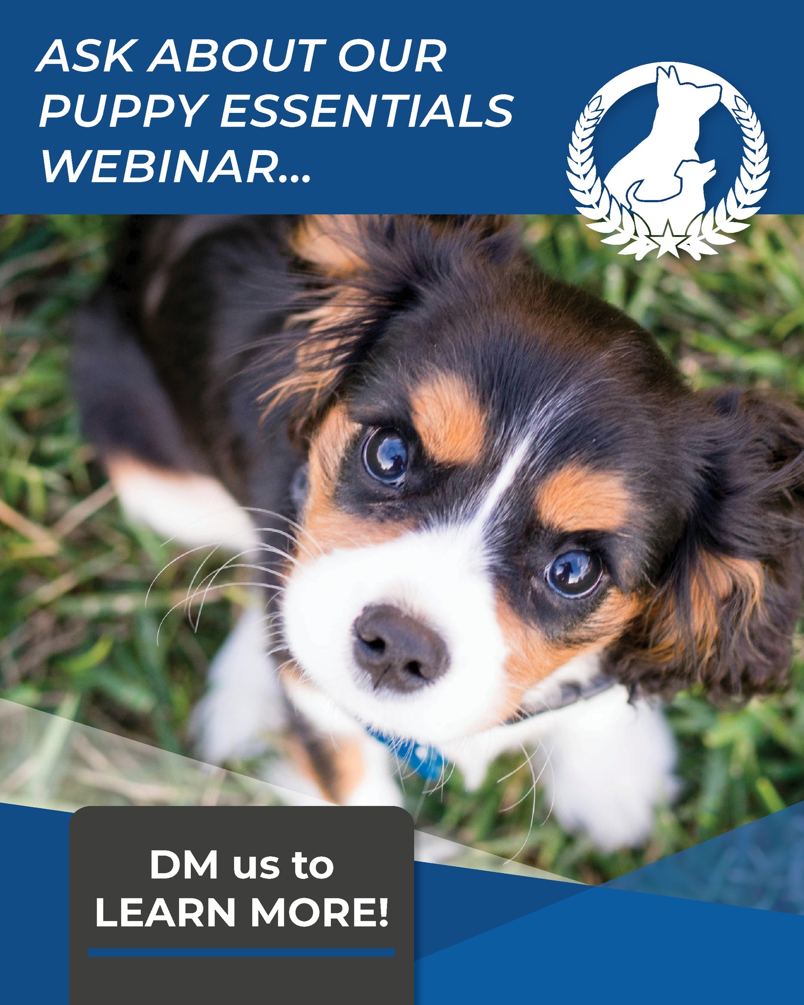 Bringing home a new puppy? 🐶 Here are a few simple tips that make a BIG difference early on:

✔️ Start crate training right away
✔️ Keep a consistent potty schedule
✔️ Reward calm behavior, not just excitement
✔️ Socialize safely with new people, sounds, and environments
✔️ Keep training sessions short, fun, and positive

Remember &mdash; your puppy isn't trying to give you a hard time, it may be having a hard time learning a brand new world 💛 Consistency, patience, and structure go a long way.

The habits you build now create the dog you&rsquo;ll have for years to come and we are here to help you and your new friend every step of the way 🦮

