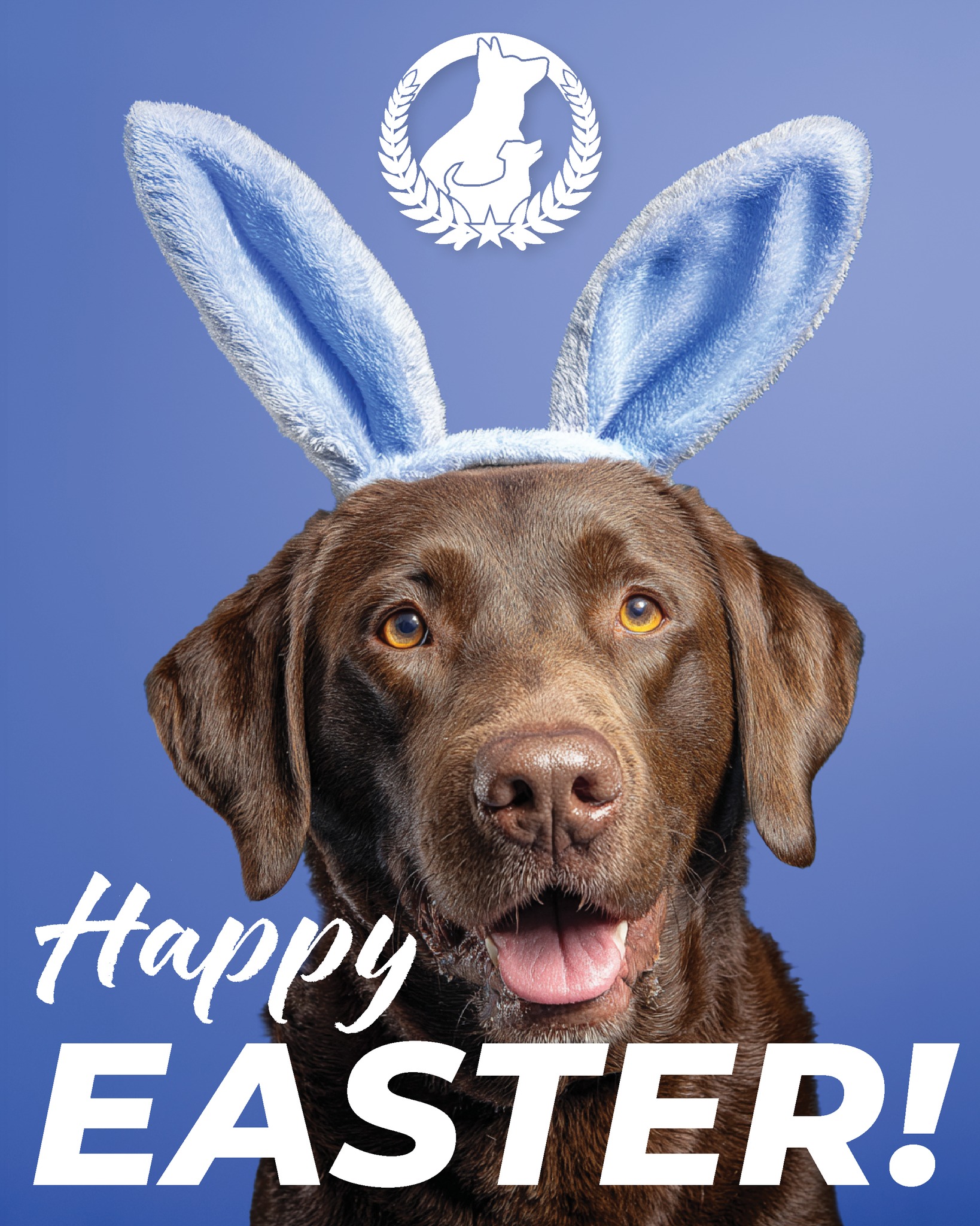 🐣🐾 Happy Easter from all of us here at Dog Training Elite Atlanta! 🐾🐣

Wishing you and your pup a day full of love, family time, and happy moments💛 

We&rsquo;re always here to support you and your dog&mdash;every step of the way!

Have a wonderful Easter! 🌸🐶

