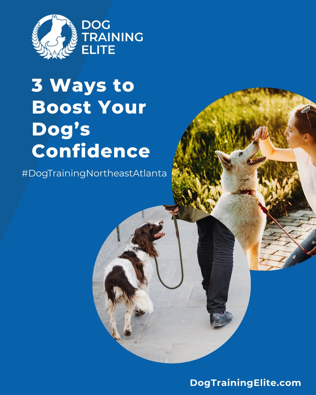 Confidence is key for any dog, especially service dogs. 

At Dog Training Elite Northeast Atlanta, we help dogs develop skills and independence through:
🌳 New Experiences – Safely introduce your dog to new environments and people.
 🧩 Challenge Games – Puzzle toys and problem-solving tasks strengthen mental skills.
 💖 Praise & Encouragement – Reward small victories to build trust and confidence.

Our expert trainers guide every step of the way, helping dogs and handlers build strong, reliable partnerships—whether practicing at home, in public, or in structured sessions with our team.

🎯 Ready for a happier, calmer pup? 🐾 Schedule your free in-home evaluation and see why neighbors across Woodstock, Cumming, and Suwanee count on Dog Training Elite.
 🐾 Serving Woodstock, Cumming, Suwanee, and surrounding areas


