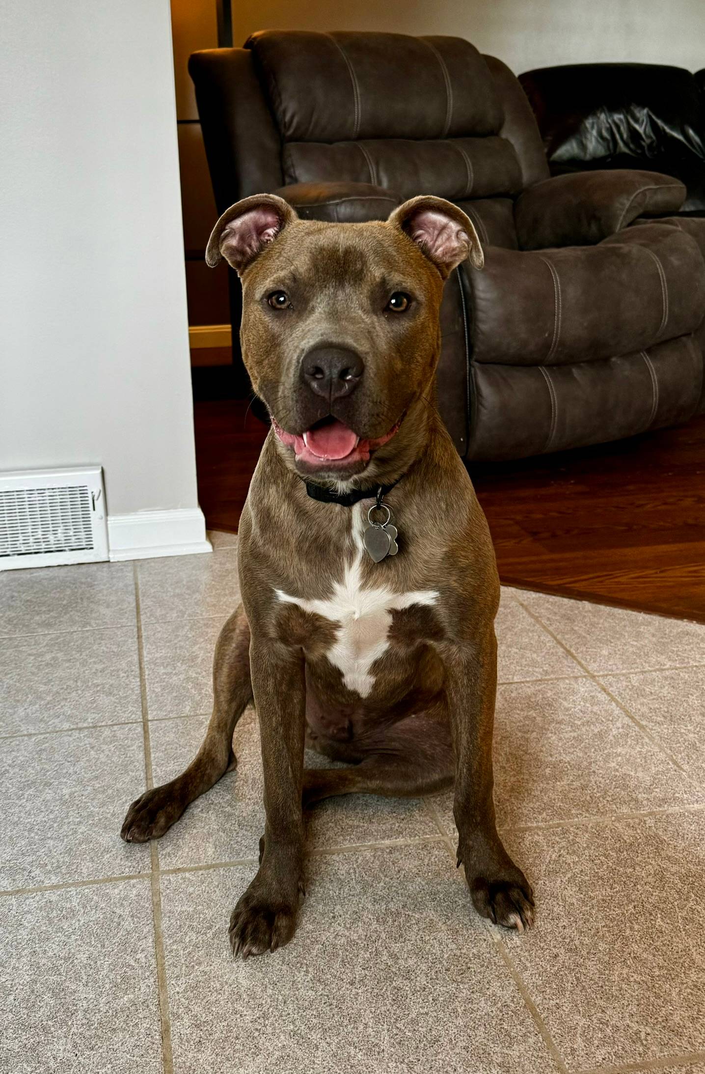 Calm at home is the goal, even when life gets busy. 🐾

At Dog Training Elite Northeast Ohio, we&rsquo;re balanced trainers, so your dog gets clear structure and still enjoys training. We work with families across Mayfield Village, Shaker Heights, Pepper Pike, Willoughby, Chagrin Falls, Euclid, Cleveland Heights, Chardon, and Solon who want a reliable, well-mannered dog.

We teach with high repetitions so commands become automatic, and we can train in a day camp style or through mobile training that comes to you. As a professional dog trainer team, we also help with aggressive dog training and can guide you through service dog training for real-life needs.

Core commands we build every program around:
&bull; COME, SIT, DOWN, HEEL, PLACE 📍
&bull; OFF, QUIET 🦴

Call for a FREE evaluation and see which training plan fits your dog and your schedule.