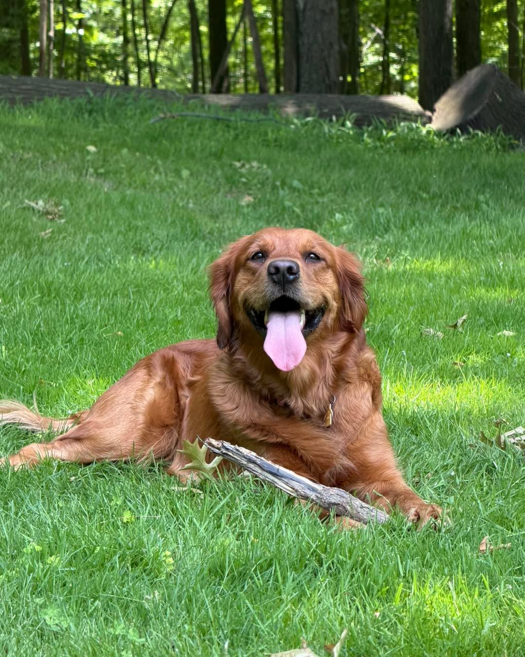 Life is better with a good stick!

