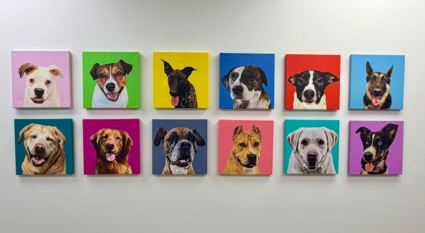 New artwork at the facility&hellip;our amazing DTE Northeast Ohio demo and trainer dogs!
We couldn&rsquo;t do what we do without them, they truly are the heart and soul of DTE
💙🐾🐕💙🐾🐕&zwj;🦺💙🐾🦮💙

