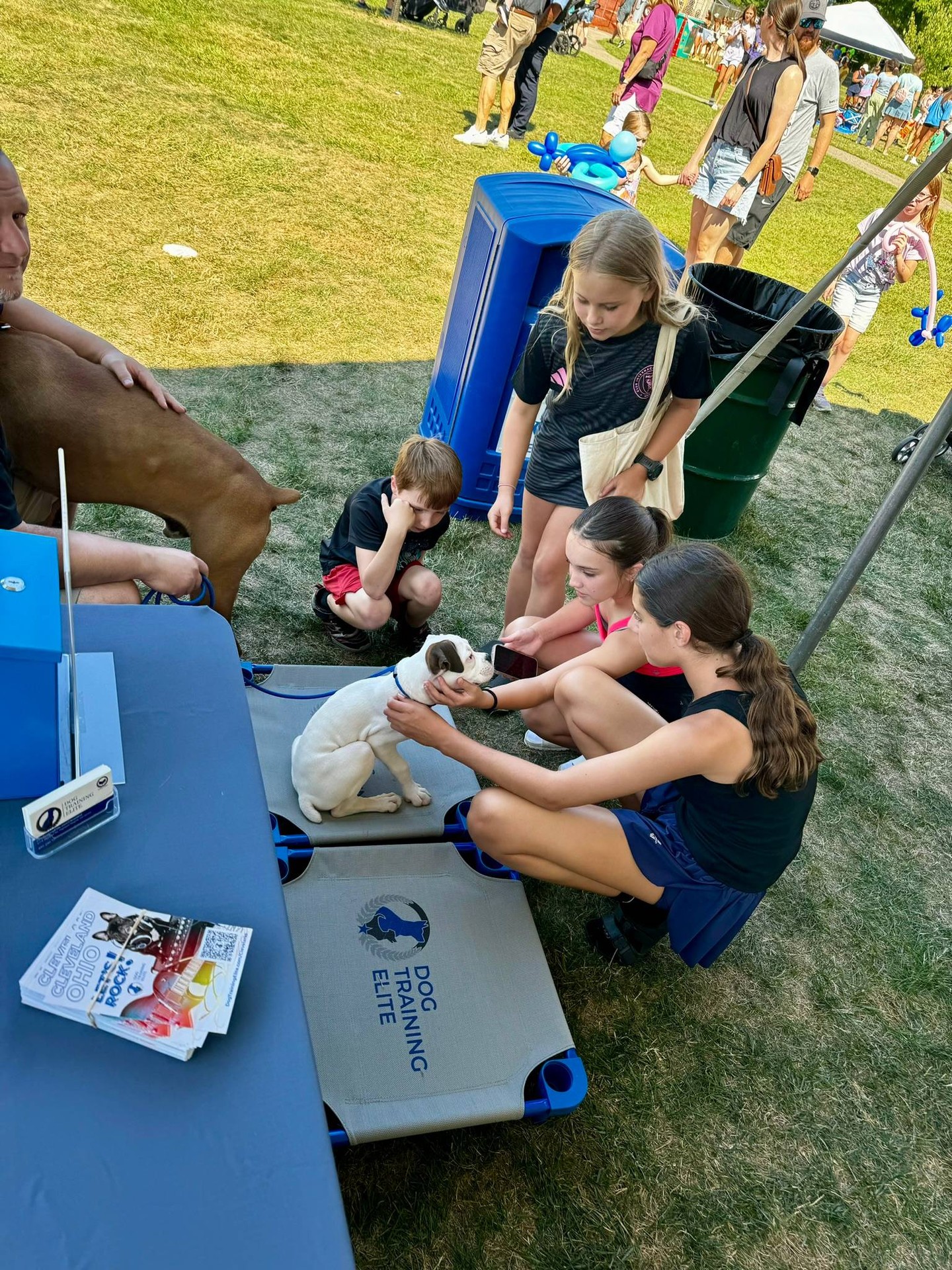 Nothing beats seeing a calm, happy puppy surrounded by curious kids. 🐶

Moments like this are why we love what we do. At Dog Training Elite Northeast Ohio Facility, we help dogs of all ages learn to stay relaxed around people, sounds, and busy environments, and community events are the perfect place to show off those skills. As a professional dog trainer serving the greater Cleveland area, including families in Solon and Chagrin Falls, we focus on balanced training that combines clear structure with plenty of enjoyment for your dog.

We teach the core commands every day: COME, SIT, DOWN, HEEL, PLACE, OFF, and QUIET. With high repetitions and owner coaching, those cues become second nature.

&bull; Puppy foundations and socialization
&bull; Service dog training for PTSD and mobility support
&bull; Aggressive dog training with a compassionate plan

Whether you're starting with a new puppy or working through behavior challenges, we'd love to meet you. Reach out today to schedule your free in-home assessment. 🐾