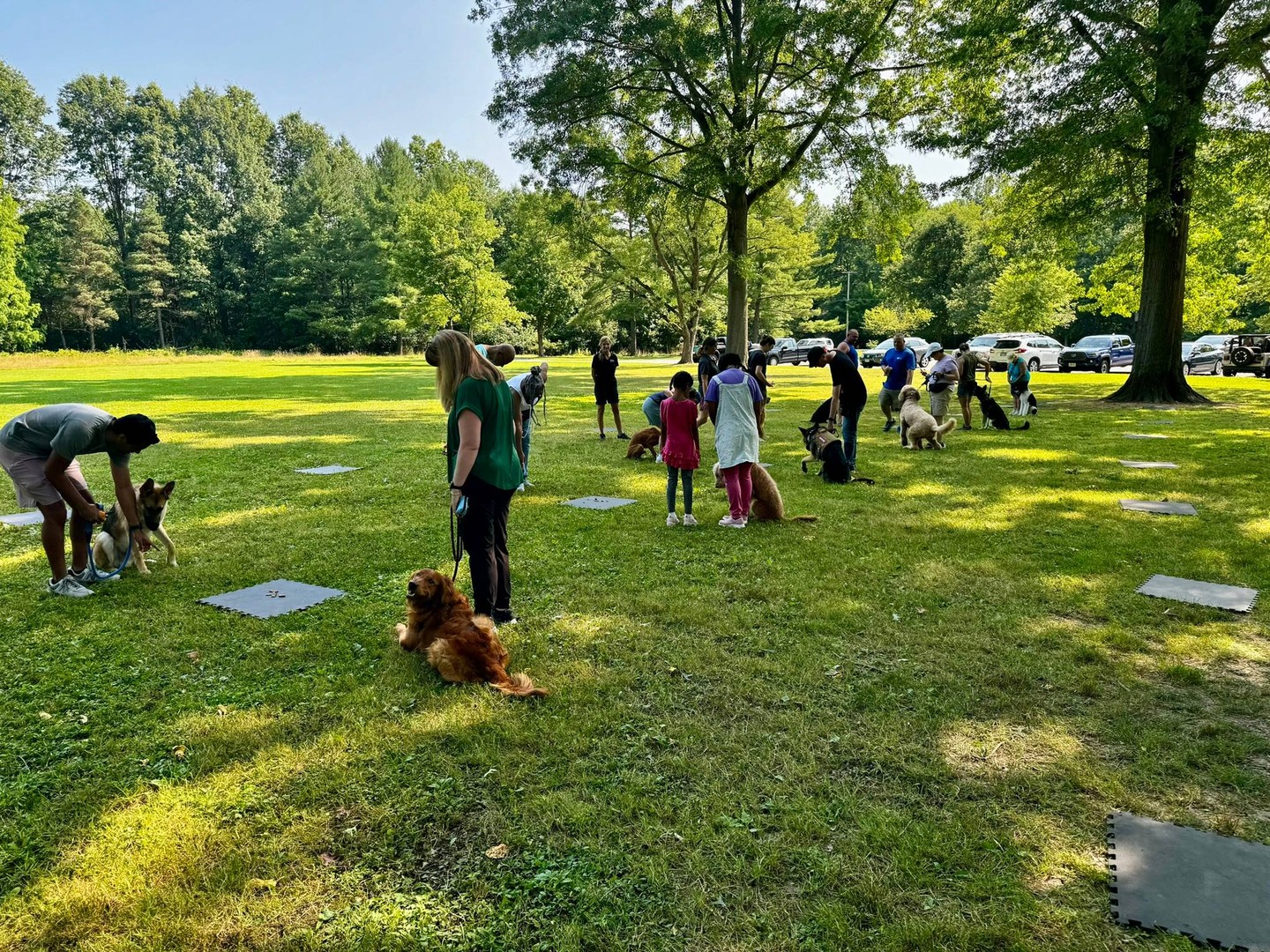 Summer is a great time to build real-life obedience that holds up outside the house. 🐕&zwj;🦺

At Dog Training Elite Northeast Ohio, we offer service dog training for PTSD and psychological support, plus therapy dog prep for calm, confident visits in senior centers, schools, preschools, and libraries. We also help with aggressive dog training by building clear rules and steady focus, one step at a time.

Our professional dog trainer team uses lots of high repetitions so your dog truly understands the commands, not just in quiet rooms. We work on COME, SIT, DOWN, HEEL, PLACE, OFF, and QUIET in a day camp style of training or with mobile sessions that come to you. 🦴

Serving families across Mayfield Village, Shaker Heights, Pepper Pike, Willoughby, Chagrin Falls, Euclid, Cleveland Heights, Chardon, and Solon near 6119 Highland Rd. 📍

If you&rsquo;re ready to start, reach out to schedule an assessment and training plan.
