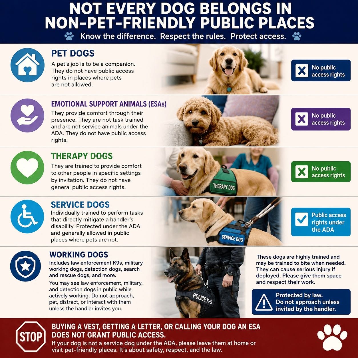 This is a wonderful visual explaining the different 'jobs' that dogs can perform.  Service Dogs require high obedience and specialized task training related to their handler's disability and thus are granted public access rights. They must be able to focus on their handler so they can perform their tasks.  Just as it says for Working Dogs:  do not approach, pet , distract or interact unless invited. Give them space and respect their work.

