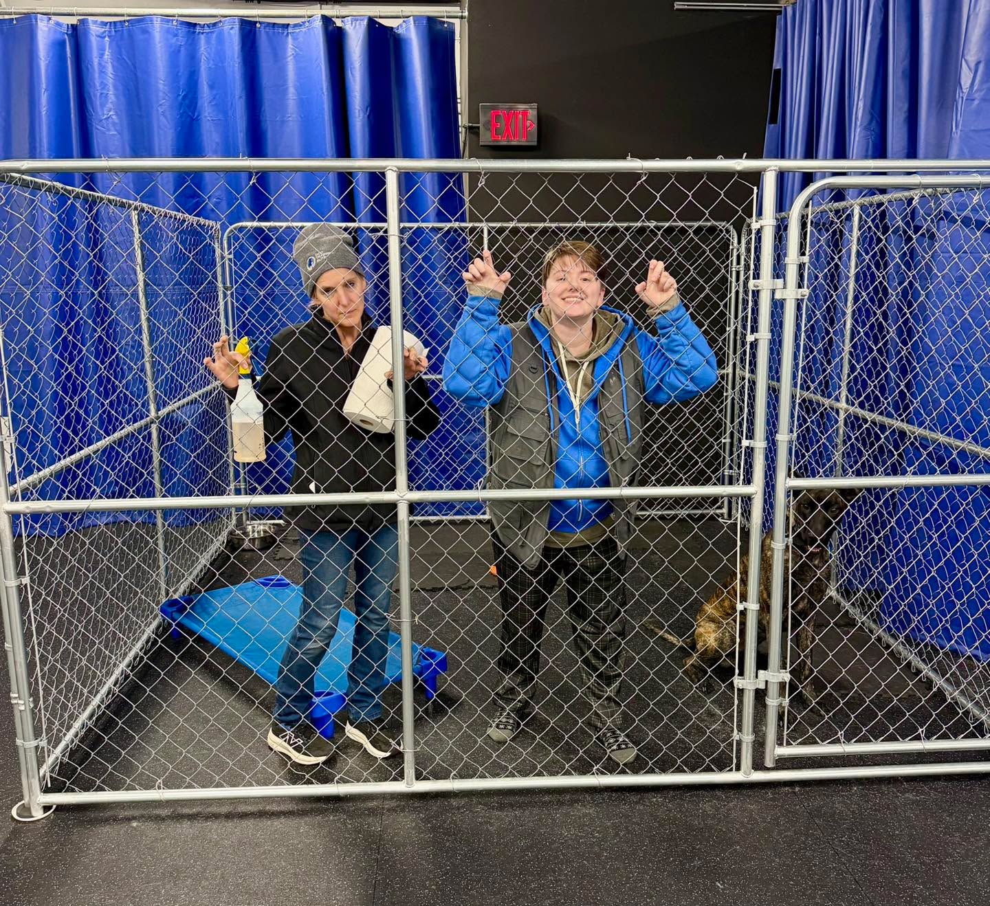 Our new staff Kennel! 🤣

