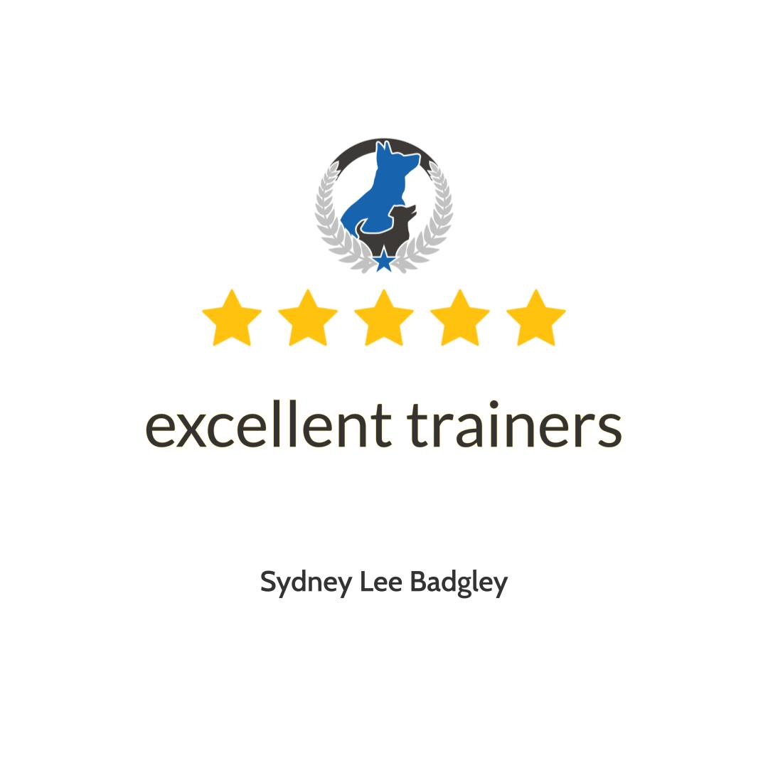 Nothing beats hearing &ldquo;excellent trainers&rdquo; from our clients, because that&rsquo;s the standard we work for every day at Dog Training Elite Northeast Ohio Facility. As a professional dog trainer team serving Mayfield Village, Shaker Heights, Pepper Pike, Willoughby, Chagrin Falls, Euclid, Cleveland Heights, Chardon, and Solon, we keep training clear, fair, and easy to follow for both you and your dog. Our balanced style means we build real structure while still keeping sessions fun and rewarding, so dogs stay motivated and owners feel confident. We use lots of repetitions so your dog truly understands each skill, especially our core commands: COME, SIT, DOWN, HEEL, PLACE, OFF, and QUIET.

Whether you need service dog training for daily support, aggressive dog training to work through tough behaviors safely, or a professional dog trainer to guide your family from the basics to advanced reliability, we tailor a plan that fits your goals. If you&rsquo;re in the Greater Cleveland area and want a dog who listens at home and out in public, reach out today to schedule your training assessment and get started.