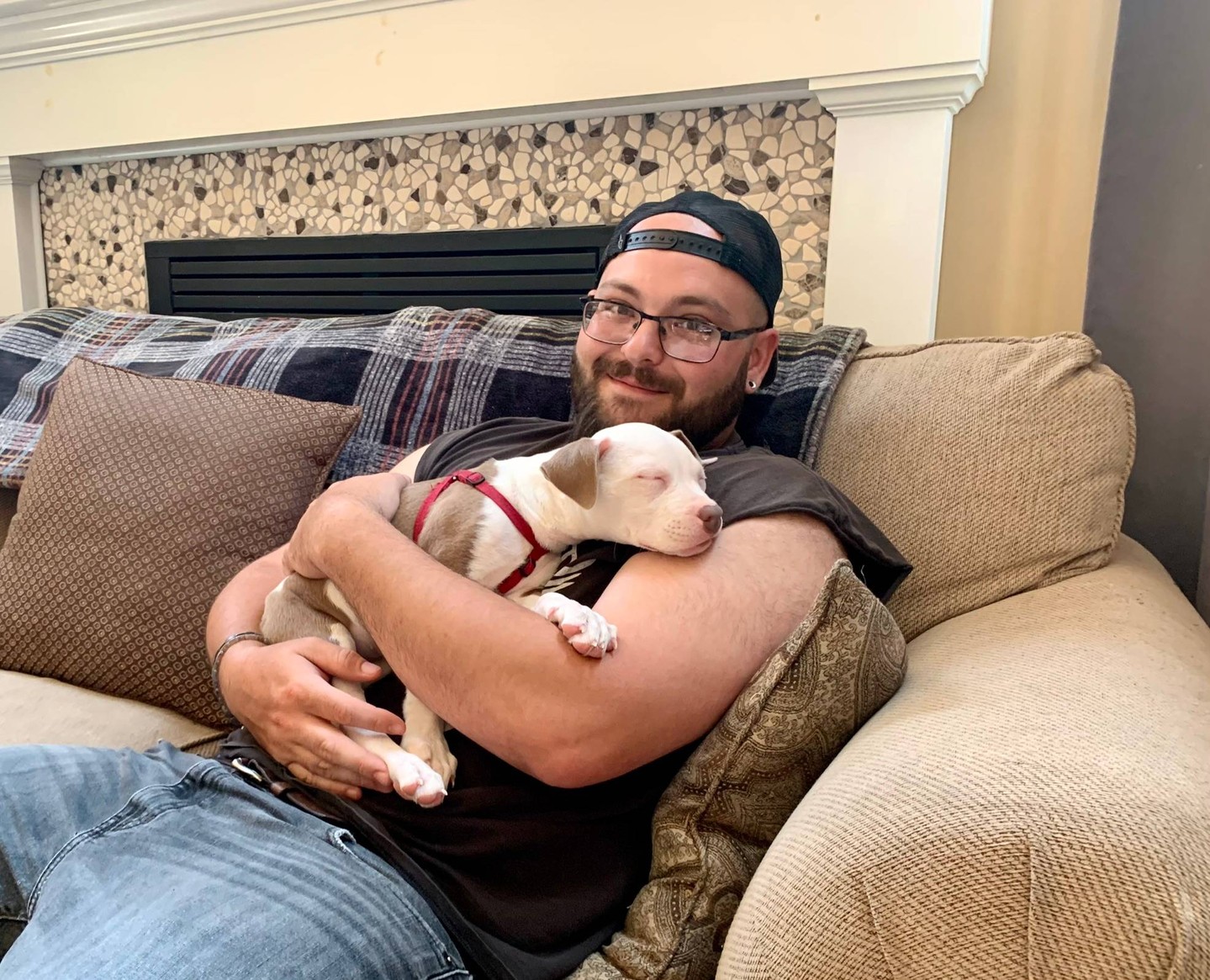 Fall evenings at home are so much better when your puppy knows how to settle. 🍂

That calm, cozy moment on the couch doesn't happen by accident. It starts with early training and clear communication between you and your dog. At Dog Training Elite Northeast Ohio, we're balanced trainers who believe structure and enjoyment belong together, so your puppy learns with confidence instead of stress.

Our puppy program covers leash manners, housebreaking, crate training, and socialization, all built on the core commands every dog should know: COME, SIT, DOWN, HEEL, PLACE, OFF, and QUIET. High repetitions help your pup truly understand each cue, not just follow along once. 🐶

As your puppy grows, we can build toward bigger goals like therapy work, service dog training, or help with early behavioral challenges. Families across Pepper Pike and Chagrin Falls trust a professional dog trainer on our team to set the right foundation from day one.

Ready to enjoy more peaceful nights like this one? Reach out to schedule your free in-home assessment. 🐾