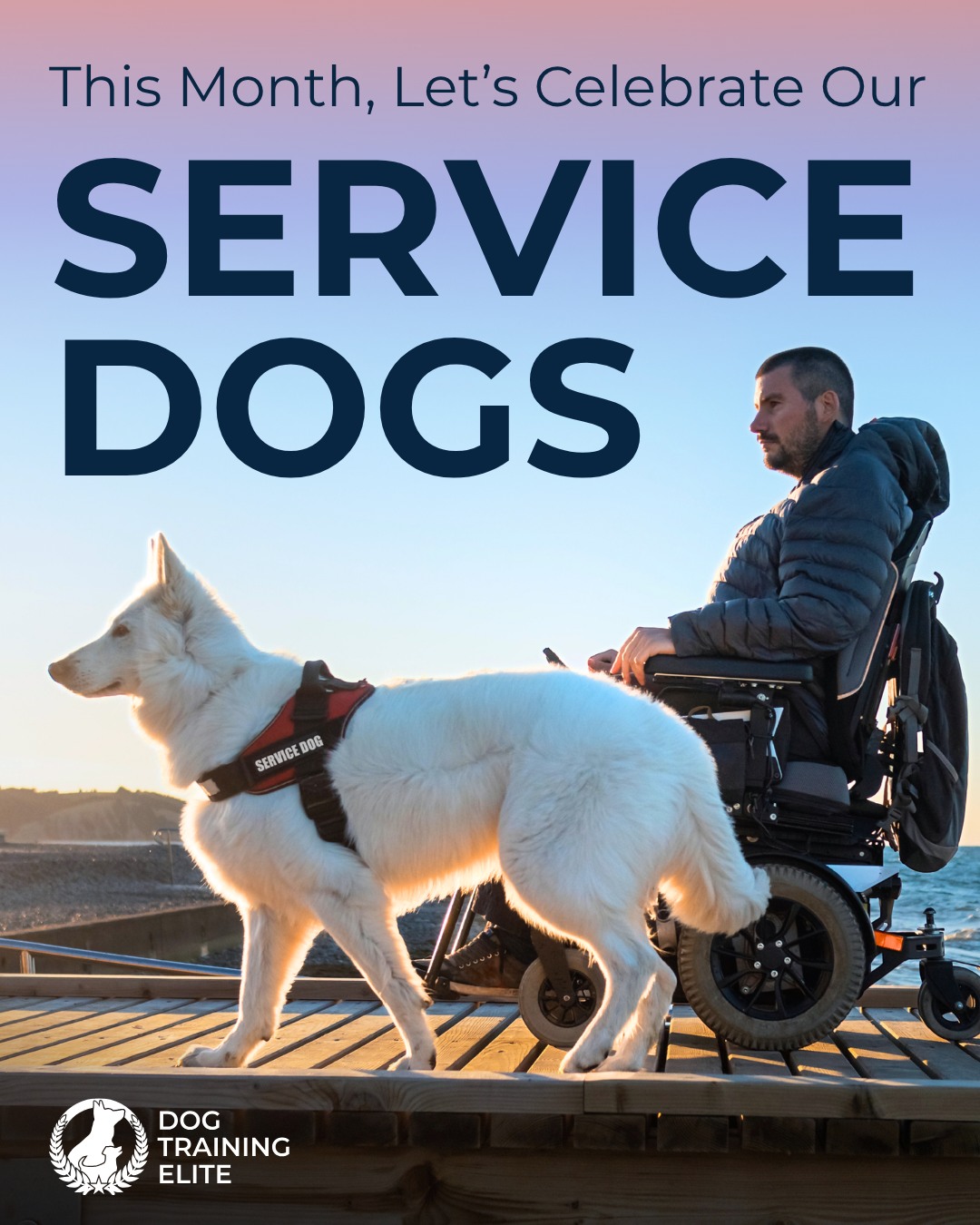 September is National Service Dog Month! 🐾💙

We're proud to celebrate the incredible service dogs who provide greater independence, confidence, and support to their handlers.

At Dog Training Elite Northeast Ohio, our service dog program trains dogs to meet the specific needs of their handlers. We build a strong foundation of obedience before moving into specialized training for needs such as PTSD, anxiety, autism, mobility support, and more.

Call 440-290-1500�� today to schedule your free consultation.

