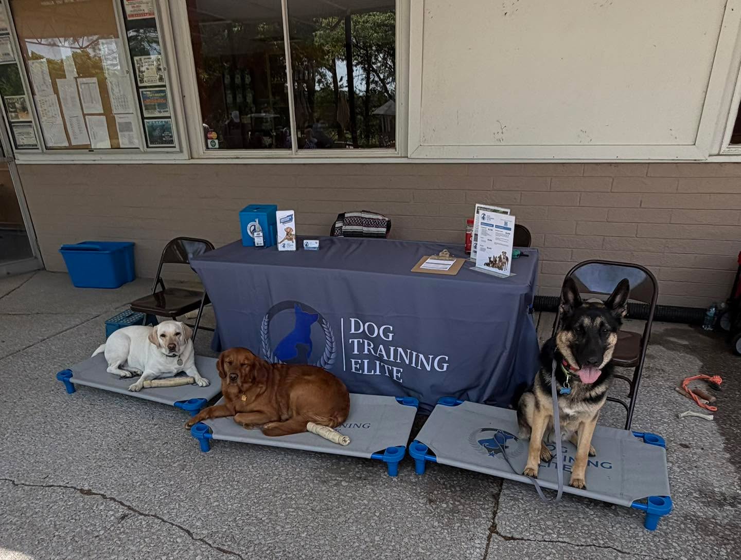 We are at Fox Creek golf course supporting Pets4Vets raising money to help our Veterans! 

Minnie, Rosie, and Buster have got a lot of attention today! 

