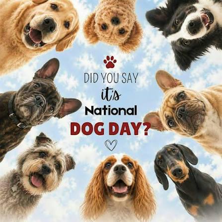 Hey, guess what? It is National Dog Day! Post a pic of you and your special furbaby!