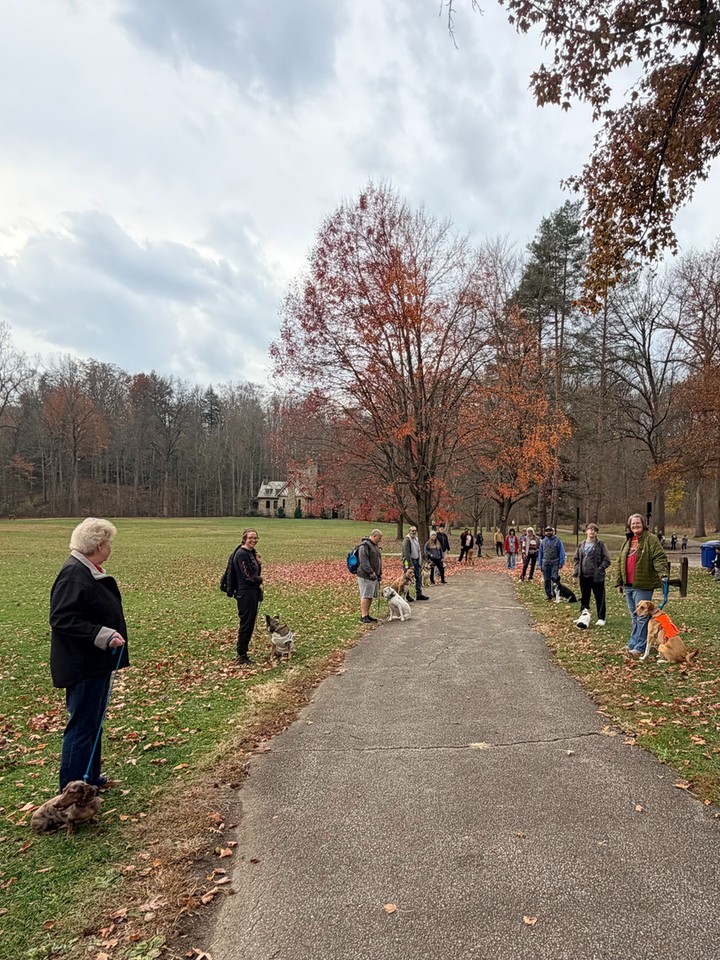 Some dogs are meant for a bigger job, and we love helping them get there. 🦮

At Dog Training Elite Northeast Ohio, our specialized programs go well beyond basic obedience. We offer service dog training for PTSD and psychiatric support, mobility assistance, seizure alert, and autism support, plus therapy dog preparation for dogs who will bring comfort to senior centers, schools, preschools, and libraries right here in the Cleveland area.

Every program starts with a solid foundation. Before any specialized task work begins, your dog masters the core commands: COME, SIT, DOWN, HEEL, PLACE, OFF, and QUIET. As a professional dog trainer team, we use a balanced approach with plenty of repetition so those skills become second nature, even in busy public settings.

Whether you're working through behavior challenges with aggressive dog training or preparing a dog for a life-changing service role, we build a personalized plan that starts with a free in-home assessment. 🐾

Fall is a great time to start, since cooler weather makes training sessions comfortable for dogs of all ages. Reach out today to talk with our trainers about your dog's potential. 🍂