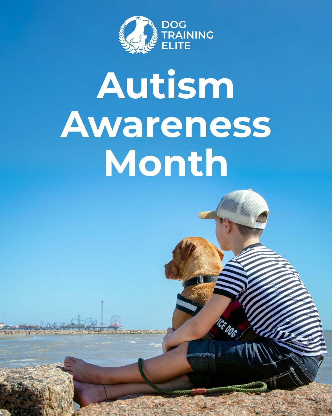 April is Autism Awareness Month 💙

For individuals with autism, service dogs can provide added structure, safety, and confidence in everyday life. Dog Training Elite of Northern Michigan customized service dog training programs are designed to build dependable skills that families can rely on.

Call 231-508-3029 today to learn more!

