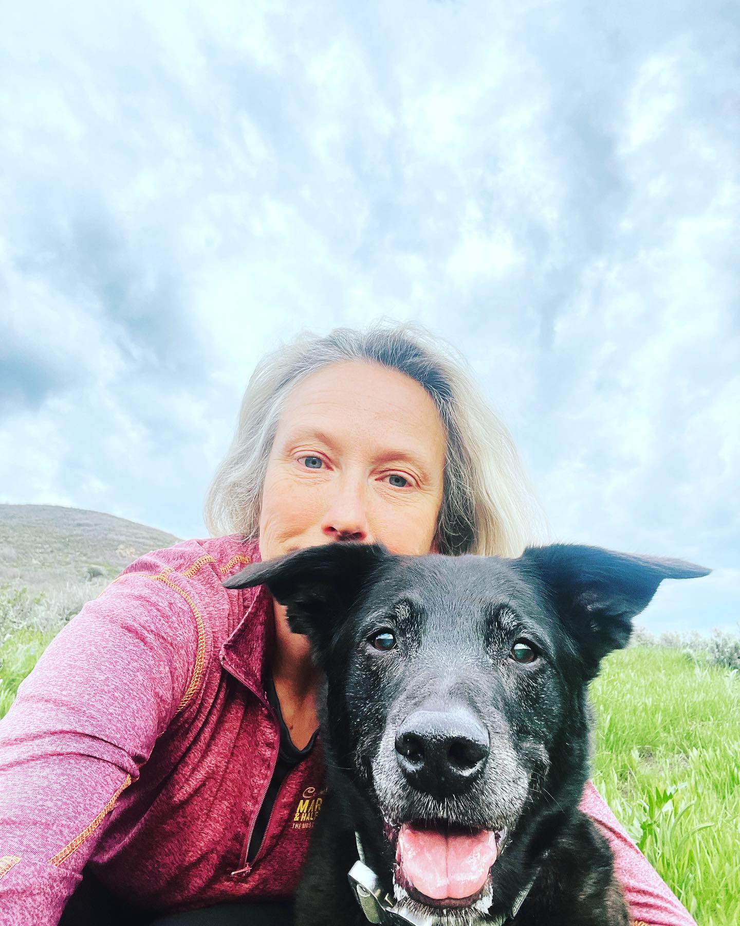 At Dog Training Elite Northern Utah our dogs and trainers dogs aren&rsquo;t just pets or working dogs - they are also business partners, friends and adventure pals. 

With heavy hearts we must announce that this past week Rory, a founding member of our business passed away peacefully in her sleep. 

She meant the world to us and anyone who had the pleasure to meet her will know that she touched so many lives. 

We&rsquo;ve commissioned a plaque that most accurately is inscribed with:
Rory - you were our favorite Hello and Saddest Goodbye. You left us a Mountain of memories both on and off the trail.

Life is about change and nothing stays the same - but she&rsquo;ll be with us always. 