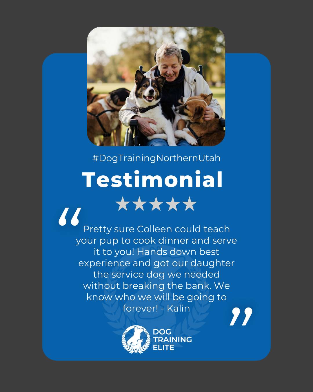 &ldquo;Pretty sure Colleen could teach your pup to cook dinner and serve it to you! Hands down best experience and got our daughter the service dog we needed without breaking the bank. We know who we will be going to forever! - Kalin&rdquo;
Review from a happy customer 🐾

Our service dog program helps clients across Layton build independence and security through clear, professional training.

 🎯 From basic obedience to advanced service dog training, Dog Training Elite Northern Utah helps dogs near Ogden build better behavior and stronger bonds this season. 🐾
 📍 https://maps.app.goo.gl/M3FBzRM1CPXPnf2o9



