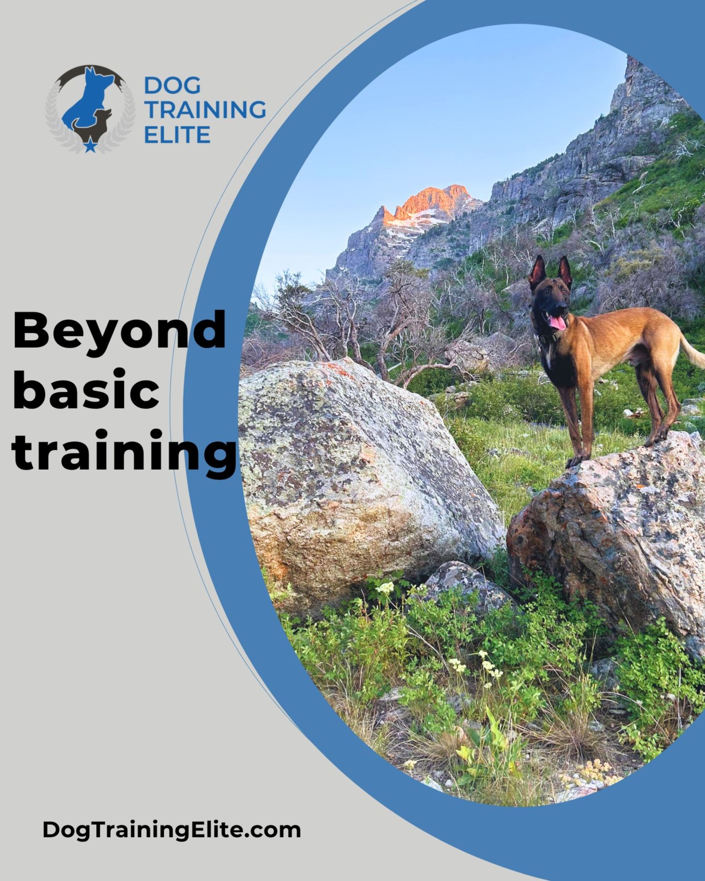 Ready for more than just “sit” and “stay”?

Dog Training Elite Northern Utah specializes in advanced obedience training for dogs, helping families go beyond the basics. 

Whether you want off-leash dog training at West Bountiful Park or smooth heeling during bike rides in Ogden, we build real-world adventure dog skills that last.

🐾 What your dog will learn:
Focus and obedience off-leash, even with distractions
Confident heeling during walks, jogs, and bike rides
Advanced recall and directional commands
Voice and hand signal responsiveness
Public access training for dogs in busy environments

This isn’t just obedience; it’s freedom, trust, and a stronger bond between you and your dog.
📍 Book your free evaluation and meet your local Davis and Weber County trainers today:
 https://maps.app.goo.gl/M3FBzRM1CPXPnf2o9

