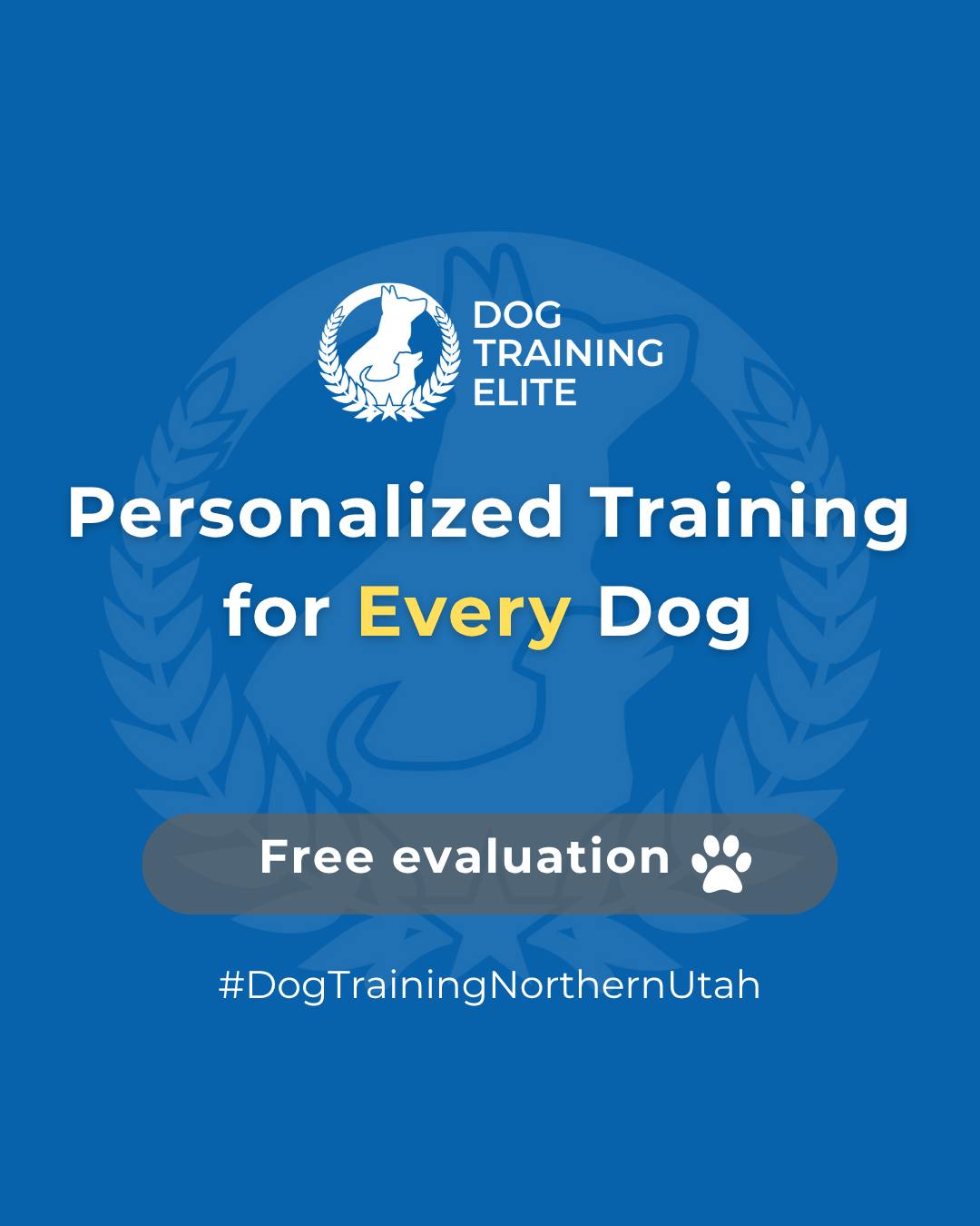 Every dog has a story written in their instincts, herding, hunting, protecting, or playing. 🐾

When training honors those natural drives, dogs feel understood, and that’s when real progress begins.
 Our programs are built on that understanding, helping dogs stay focused, responsive, and grounded no matter where life takes them.

Dog Training Elite Northern Utah is here to help you harness your dog’s natural drive and instincts.

🐕From basic obedience to advanced service dog training, Dog Training Elite Northern Utah helps dogs near Davis & Weber Counties build better behavior and stronger bonds this fall. 🐾
 📍 https://maps.app.goo.gl/M3FBzRM1CPXPnf2o9


