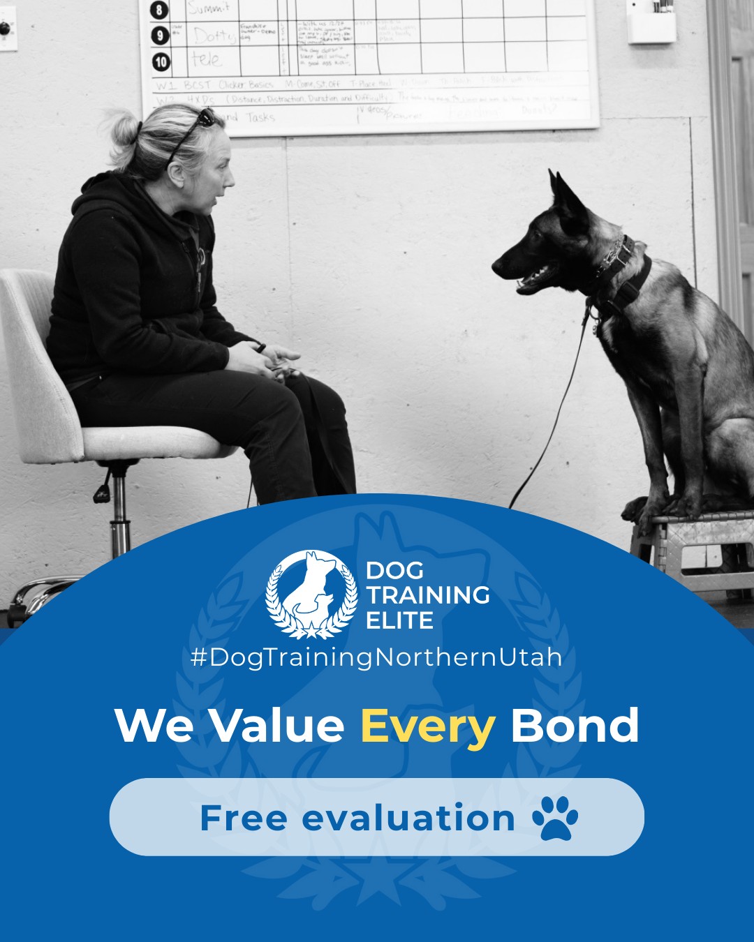 Is your dog really telling you how they feel? Every dog-owner relationship is unique. Training with Colleen, Trevor, Keagan, Taylor & Marissa at Dog Training Elite Northern Utah builds communication, focus, and trust, whether you&rsquo;re working on obedience, therapy, or service skills. Learning to read your dog&rsquo;s signals strengthens your bond and helps them thrive in every situation.

 Warm up your winter with a well-trained pup. Schedule your free in-home evaluation and see why families in Ogden, Layton, Centerville and surrounding areas trust Dog Training Elite for results that last through every season.
📍 https://maps.app.goo.gl/M3FBzRM1CPXPnf2o9


