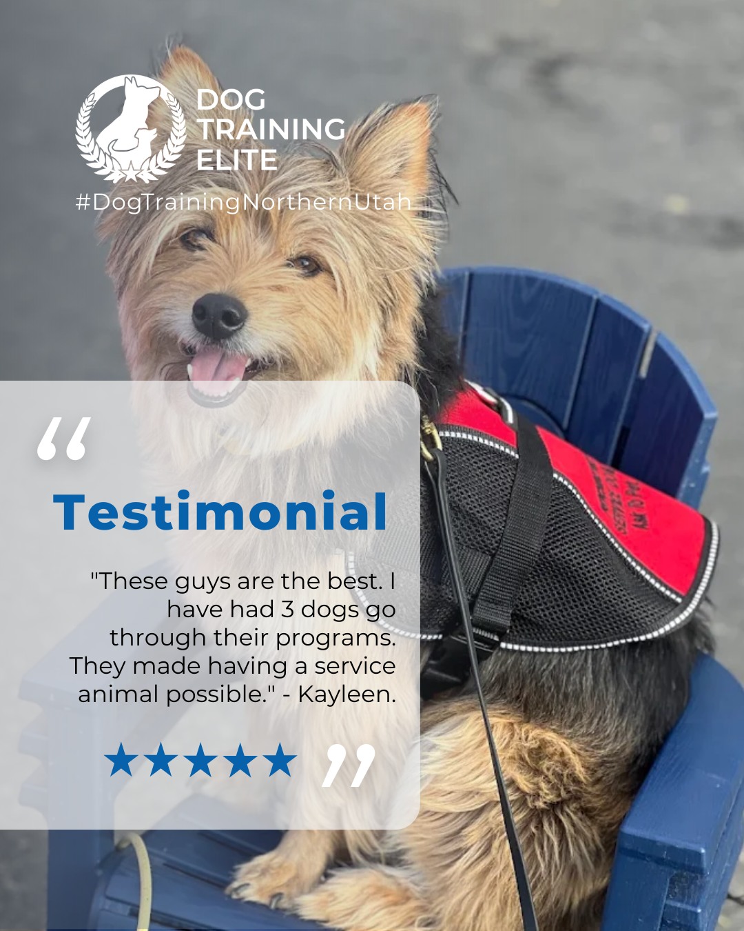 These guys are the best. I have had 3 dogs go through their programs. They ingrain a behavior into the dog, then it&rsquo;s up to you to enforce it. Which can sound hard, but they are with you every step of the way. You can reach out and get extra classes if needed. And this is on top of the weekly group classes that they offer. These guys made having a service animal possible. - Kayleen.
 Review from a happy customer 🐾

Ready to see real results?

Watching a dog grow and succeed is always rewarding. From improved focus and confidence to better behavior at home and in public, every transformation is unique. Let us help your dog reach their full potential and strengthen your bond together.

 🎉 Warm up your winter with a well-trained pup. Schedule your free in-home evaluation and see why families in Ogden, Layton, Centerville and surrounding areas trust Dog Training Elite for results that last through every season.
 📍 https://maps.app.goo.gl/M3FBzRM1CPXPnf2o9

 

