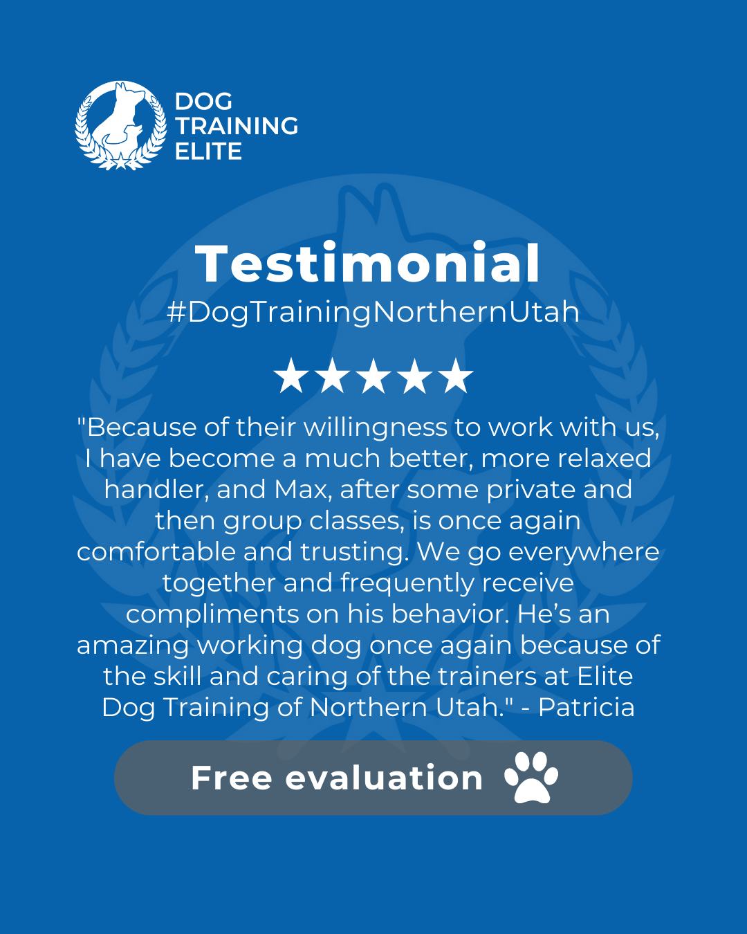 I am a Veteran with PTSD and some other injuries. My young German Shepherd, very well trained service working dog, became reactive to other dogs after we experienced a number of unprovoked attacks by other dogs. The original trainers wanted me to give up on him because he would lunge and bark if another dog was in our vicinity. He never followed through or bit. I was unwilling to do this without getting another opinion and giving him a chance with more training toward rehabilitation. Fortunately, we moved to Utah and I found Elite Dog Training of Northern Utah. I can&rsquo;t begin to express how grateful I am. These folks are not only amazingly skilled trainers, they are extremely caring and supportive. Because of their willingness to work with us, I have become a much better, more relaxed handler, and Max, after some private and then group classes, is once again comfortable and trusting. We go everywhere together and frequently receive compliments on his behavior. He&rsquo;s an amazing working dog once again because of the skill and caring of the trainers at Elite Dog Training of Northern Utah. - Patricia
Review from a happy customer 🐾

Training transformed their behavior and strengthened their bond. Discover how your dog can thrive too!

 🎉 Make better behavior your first win of the year. Book your free in-home evaluation and see why Centerville and Layton dog owners choose Dog Training Elite for real, lasting results.
 📍 https://maps.app.goo.gl/M3FBzRM1CPXPnf2o9

 

