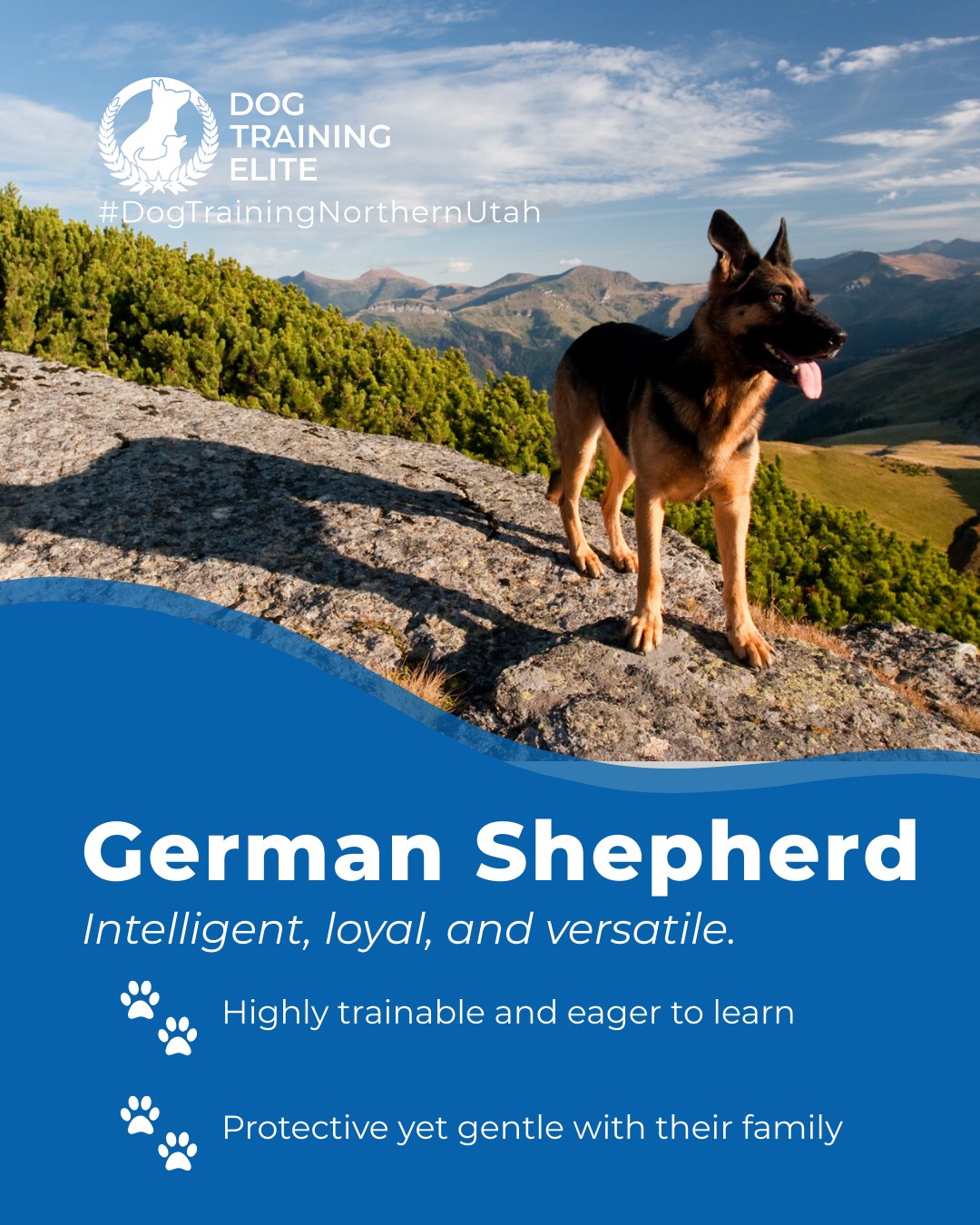 🐾 German Shepherd Training Tip from Dog Training Elite Northern Utah

Smart, confident, and loyal, German Shepherds thrive with consistent, balanced training and mental stimulation. Their versatility makes them excellent service dogs and devoted family companions.

Our balanced training method is tailored to every breed and temperament. Whether you’re hiking through Snowbasin Ski Resort or strolling in Hill Air Force Base, we’ll help your German Shepherd be obedient, confident, and reliable.

📍https://maps.app.goo.gl/M3FBzRM1CPXPnf2o9
 🎯Ready for a happier, calmer pup? 🐾 Schedule your free in-home evaluation and see why neighbors across Ogden, Layton, and Clearfield count on Dog Training Elite.
 



