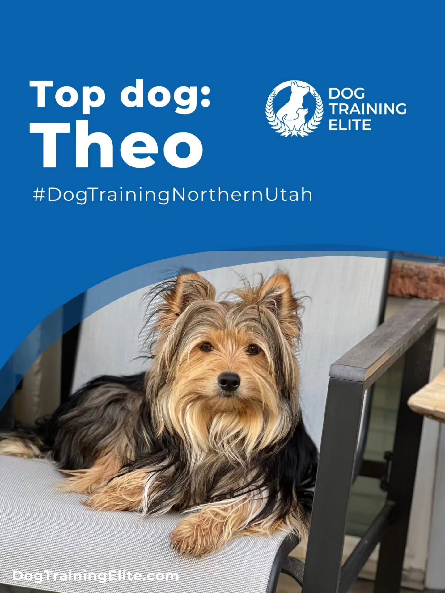 Meet Theo! 🐾 This pint-sized powerhouse came to us for Obedience Training with hopes of becoming a Psychiatric Service Dog—and he’s absolutely crushing it! 💪✨

Theo’s confidence has skyrocketed through training, and he’s now thriving in the public access phase of his Service Dog journey. From shy beginnings to strutting his stuff in public settings, this little guy is proof that big transformations come in small packages. 🐕‍🦺💥

Huge shoutout to Theo’s incredible family for their consistency, patience, and heart. Your commitment is the secret sauce behind his success! 💙
Let’s hear it for this Davis County superstar! 

Drop a 🐾 or 💙 in the comments to cheer Theo on as he continues to level up! ⬆️🐶


