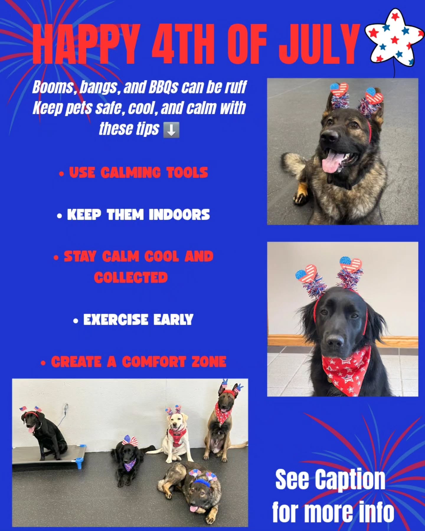 🎆 Keeping your dog safe and stress-free this 4th of July? We got you covered! Here's how to help your pup stay cool when the fireworks start flying:

🧘‍♀️ Use Calming Tools – Try calming chews, pheromone sprays, ThunderShirts, or even relaxing music to help soothe anxious pups.

🏡 Keep Them Indoors – Don’t risk your dog bolting in fear. Fireworks can cause even the most confident dogs to run. Keep them secure inside, preferably in a quiet room.

😎 Stay Calm, Cool & Collected – Dogs feed off your energy! If you're relaxed, they’ll be more likely to stay chill, too. Keep your own reactions low-key and comforting.

🐾 Exercise Early – A tired dog is a happy dog. Get in a good walk or play session before the evening chaos starts to burn off that nervous energy.

🛏️ Create a Comfort Zone – Set up a safe spot with their bed, blankets, favorite toys, and treats. White noise or soft music can also help mask the sound of fireworks.

Remember, more pets go missing on the 4th than any other day of the year. Microchip? Check. ID tags? Double check. Let's make it a safe holiday for everyone—two legs and four! 🐶🇺🇸


