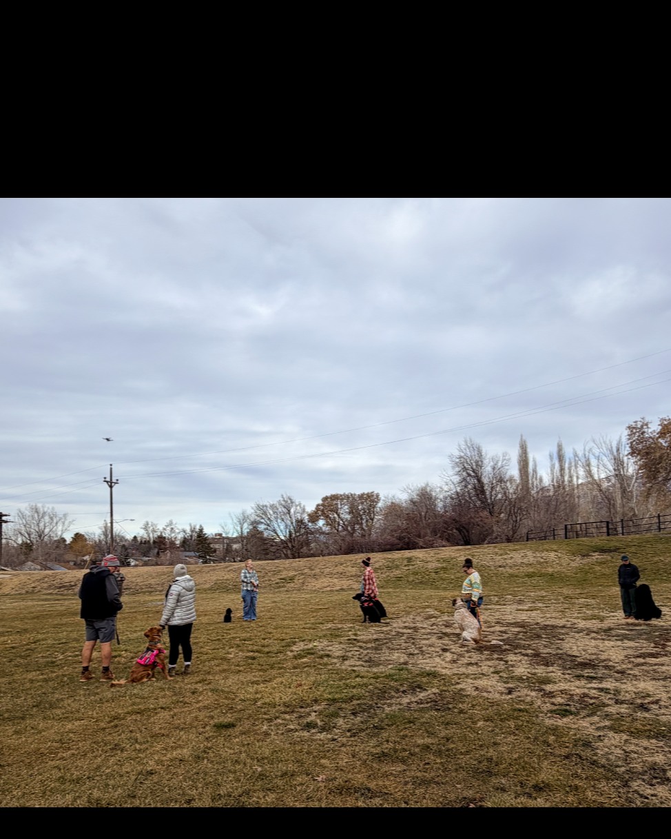 Real world training is what sets Dog Training Elite Northern Utah apart! 🐾🌳 At our recent park class, we prepared pups for anything&mdash;even the unexpected, like a drone flying overhead. 🚁 With distractions all around, our dogs learned to stay focused, calm, and obedient in any situation. Give your dog the confidence and skills to thrive, no matter what comes their way! 
