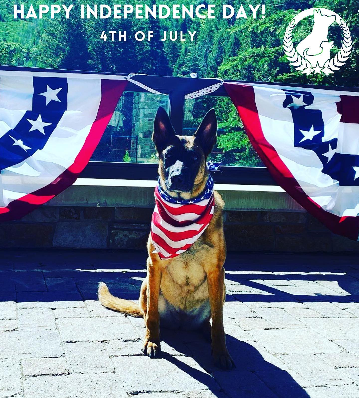 Happy 4th from Dog Training Elite Northern Utah!