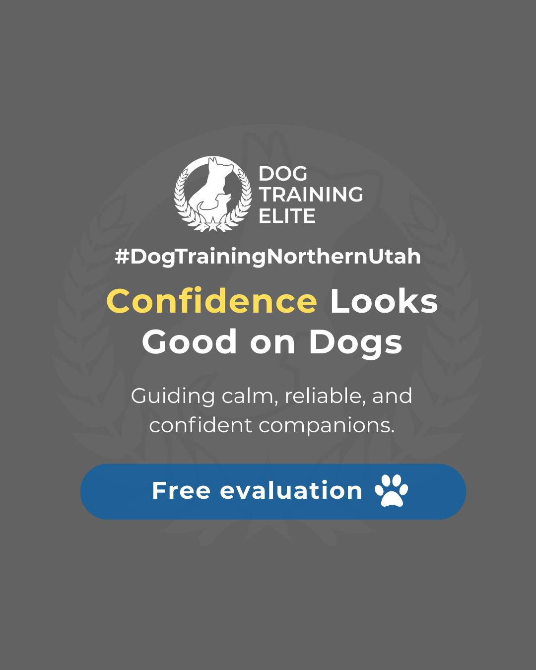 Did you know confident dogs are more focused, calm, and easier to manage at home and in public? Teaching your dog structure, consistency, and clear communication helps them feel secure and reliable in any situation.

How does your dog show confidence? Share your stories below! 🐾

Make better behavior your first win of the year. Book your free in-home evaluation and see why Centerville, Layton, Ogden and surrounding areadog owners choose Dog Training Elite for real, lasting results.
 📍 https://maps.app.goo.gl/M3FBzRM1CPXPnf2o9


