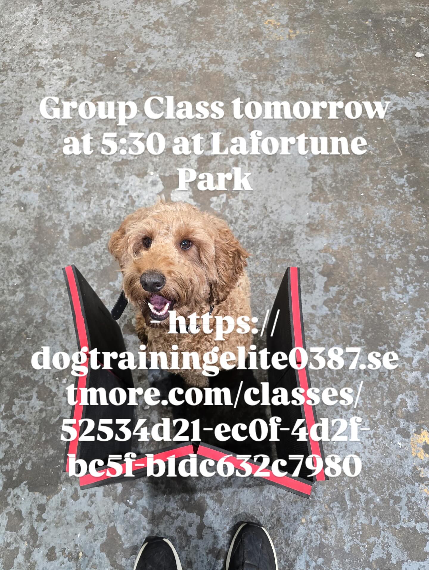 Group Class tomorrow at 5:30 at Lafortune Park 



- https://dogtrainingelite0387.setmore.com/classes/52534d21-ec0f-4d2f-bc5f-b1dc632c7980



