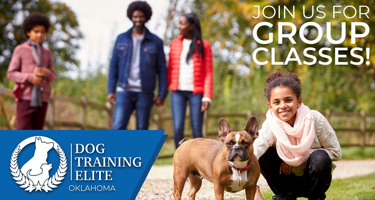 Join us this Saturday for Group Class at 9:30 am at Lafortune Park. RSVP is required at link below:

Book a session with Dog Training Elite 
 https://booking.setmore.com/scheduleappointment/420aff1a-4dab-4e9e-89e4-b71c715d8d40/session/d47d1a20-7524-442f-b4c2-9f5f5400503b