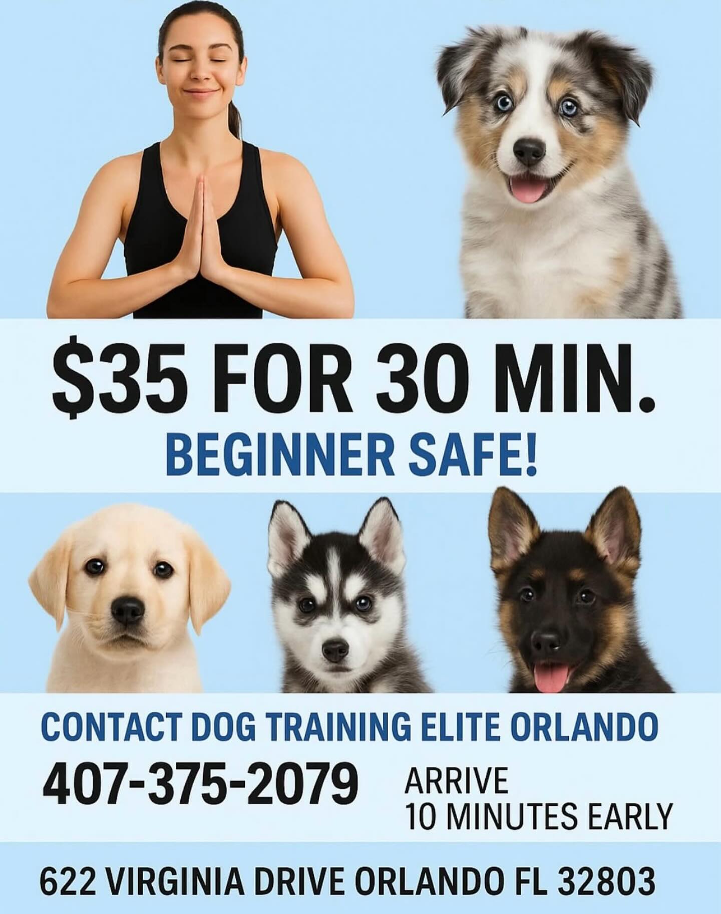Our first puppy yoga is October 4th 12-4pm. The breed will be Australian shepherd from @highlandaussies !!!