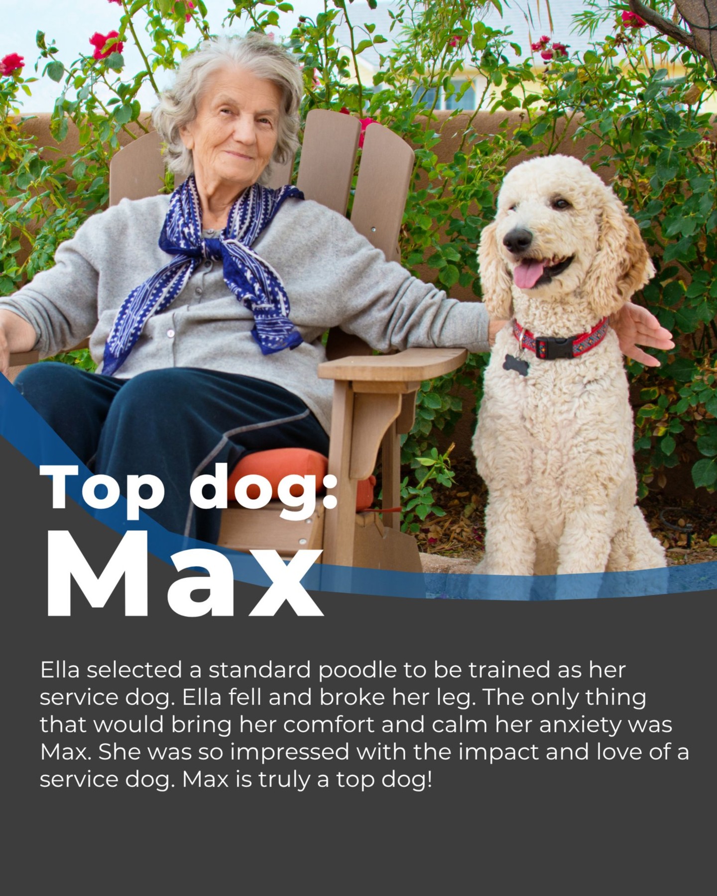 After a tough fall left Ella with a broken leg and overwhelming anxiety, one dog made all the difference.

Max, her standard poodle in training, became more than a companion—he became her anchor. His calm presence brought comfort, confidence, and strength when she needed it most. Step by step, Max helped Ella get back on her feet—physically and emotionally.

Now, she believes in the life-changing power of a service dog more than ever. 🐾💙

