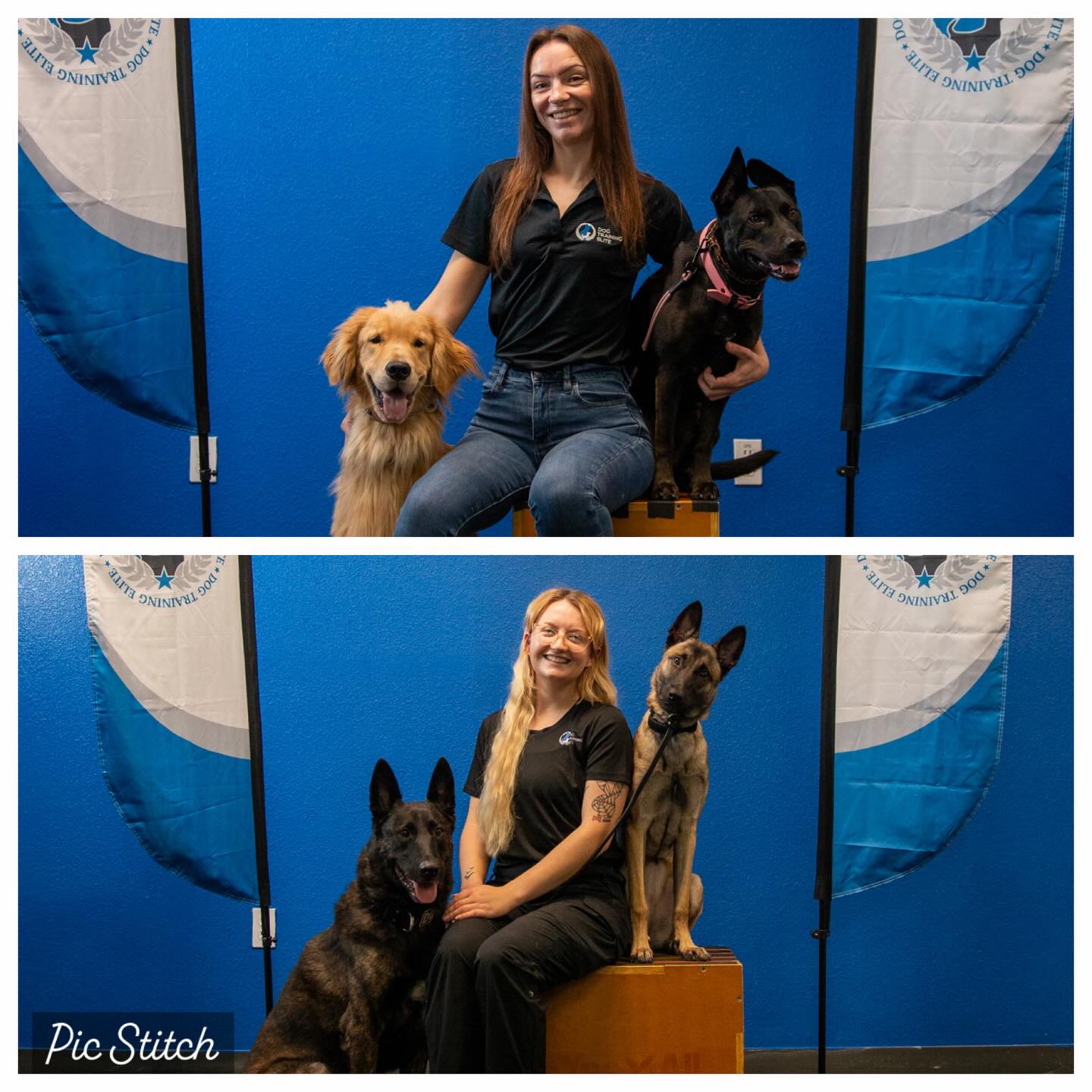 ANNOUNCEMENT!!!! We would love to welcome Emily and Logan as 2 of our new trainers to the DTE Pack! Both of these trainers bring amazing expertise in training a wide range of dogs and they bring the most amazing energy each and every day to our clients and dogs. Their love and passion for dogs is an awesome addition to the DTE Orlando Pack and we are so excited to have them both! (Also pictured Wall-E (Golden), Phoebe (Pitbull/Shepherd mix), Boris (Dutch mix), and Church (Malinois)