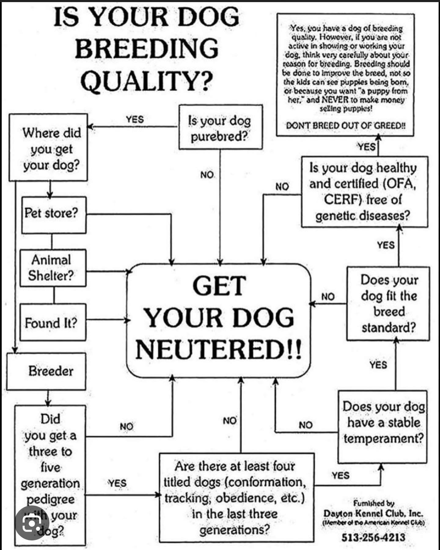 At DTE we love to spread accurate information. It is a huge responsibility to breed dogs. If you want to know how to do it ethically, responsibly and properly. We are here to educate, just ask us!