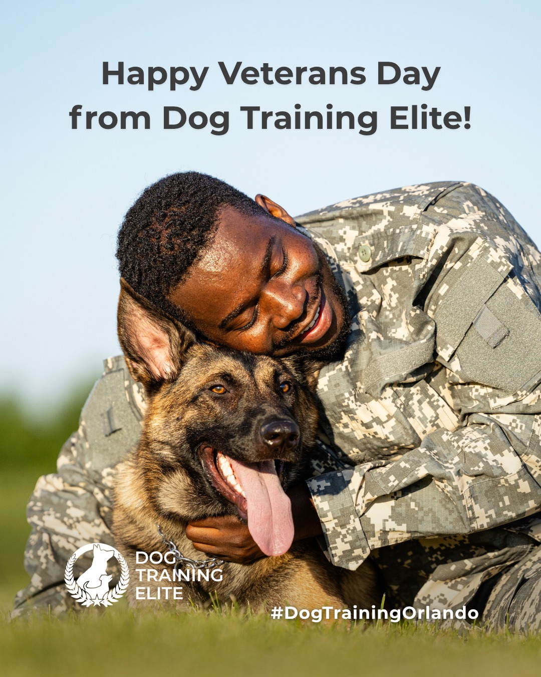 Happy Veterans Day! 🎖️ Today, we celebrate the bravery, dedication, and sacrifice of those who’ve served our nation.

Dog Training Elite Orlando is proud to give back through our specialized service dog training programs designed for military veterans. These incredible dogs provide emotional grounding, confidence, and renewed independence, helping veterans navigate life after service with strength and support.

To all who’ve served: thank you. Your courage inspires everything we do. 💙🐾

Ready to fall in love with a well-behaved pup? Schedule your free in-home evaluation and discover why neighbors across Orlando, Kissimmee, and Winter Garden rely on Dog Training Elite. 🐶


