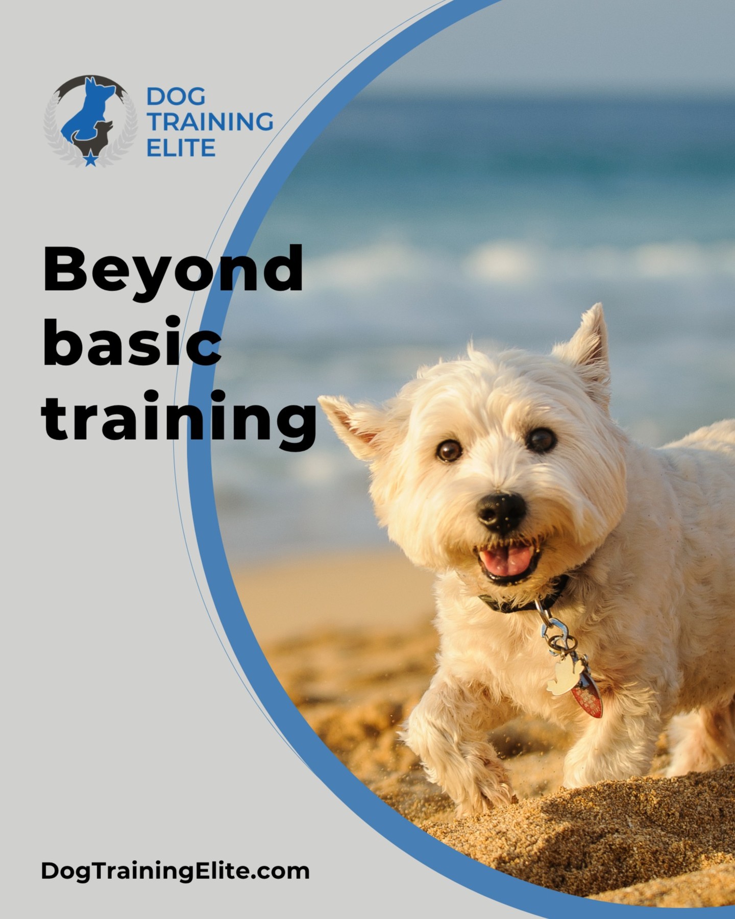 Your dog knows sit, down, and come… so now what? 🐶🎓

How about off-leash hangs at Lake Eola? Or heeling like a pro down Park Avenue?

Dog Training Elite Orlando’s advanced obedience training takes your pup from “good dog” to “WOW dog” with real-world skills that stick.

Here’s what we teach:
🐾 Off-leash focus, even with squirrels around
🐾 Chill heeling for jogs, strolls, and bike rides
🐾 Advanced recall and hand signals
🐾 Confidence in public, from Disney Springs to dog-friendly patios
Ready to level up?

Schedule your free evaluation today and connect with your local Dog Training Elite team: https://maps.app.goo.gl/aVX7E7ybB6iAPGWg7


