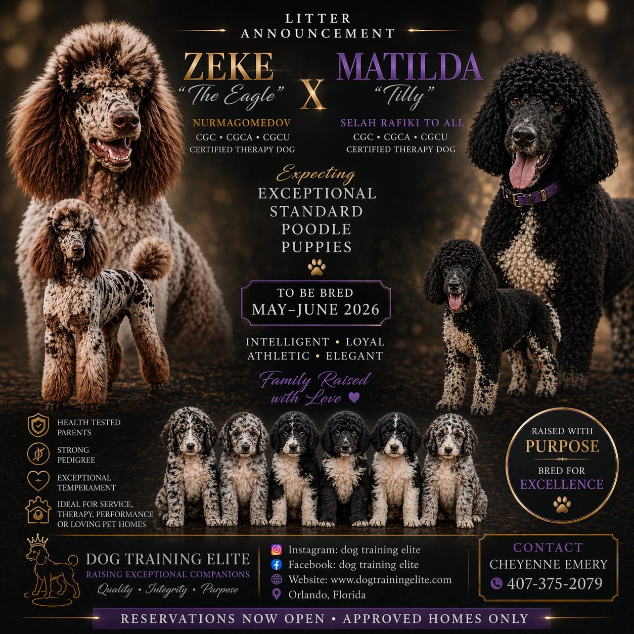 ✨ Planned Litter Announcement ✨

We are excited to announce our upcoming pairing of
Zeke &ldquo;The Eagle&rdquo; &times; Matilda &ldquo;Tilly&rdquo;

This thoughtfully planned litter is expected to produce well-balanced, intelligent, and versatile Standard Poodles suitable for:
✔️ Service work
✔️ Therapy
✔️ Performance homes
✔️ Exceptional family companions

Both parents are health tested, titled, and certified therapy dogs, bringing together structure, temperament, and trainability.

📅 Planned breeding: May&ndash;June 2026
📩 Reservations opening soon &ndash; approved homes only

📍 Orlando, Florida
📱 407-375-2079

PoodleLife DogTrainingElite EthicalBreeder @kentuckiana_poodles