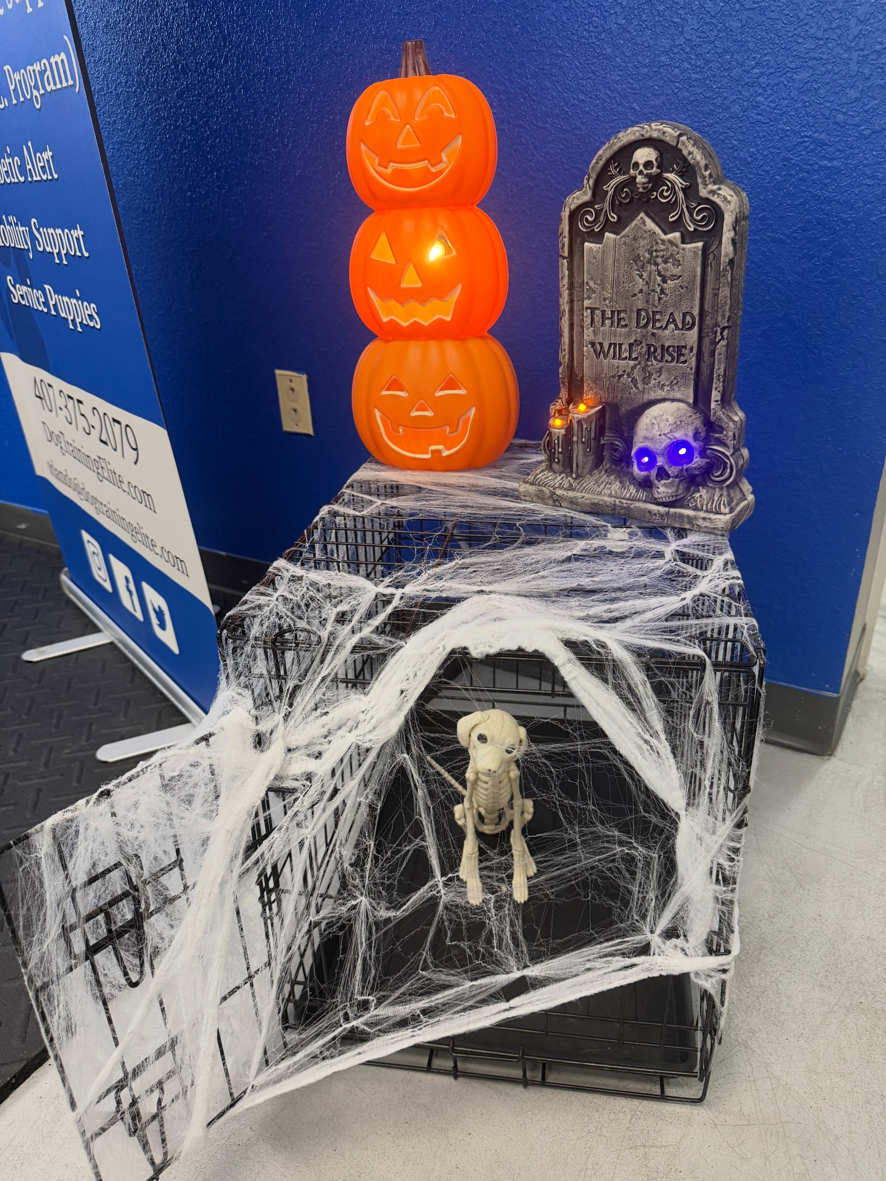 Spooky season!!!