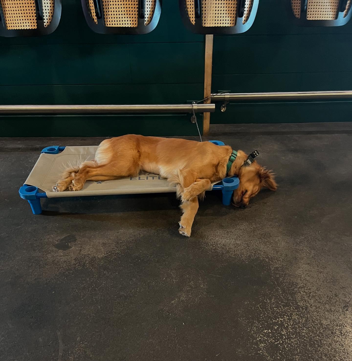 Journey said Monday camp days be like😮‍💨
