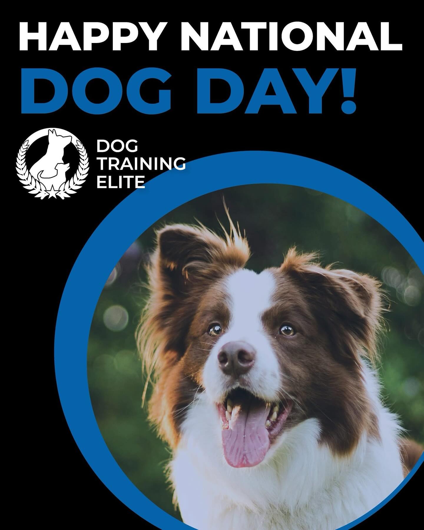 Happy National Dog Day to all of our pups out there! Make your parents get you a pup cup!