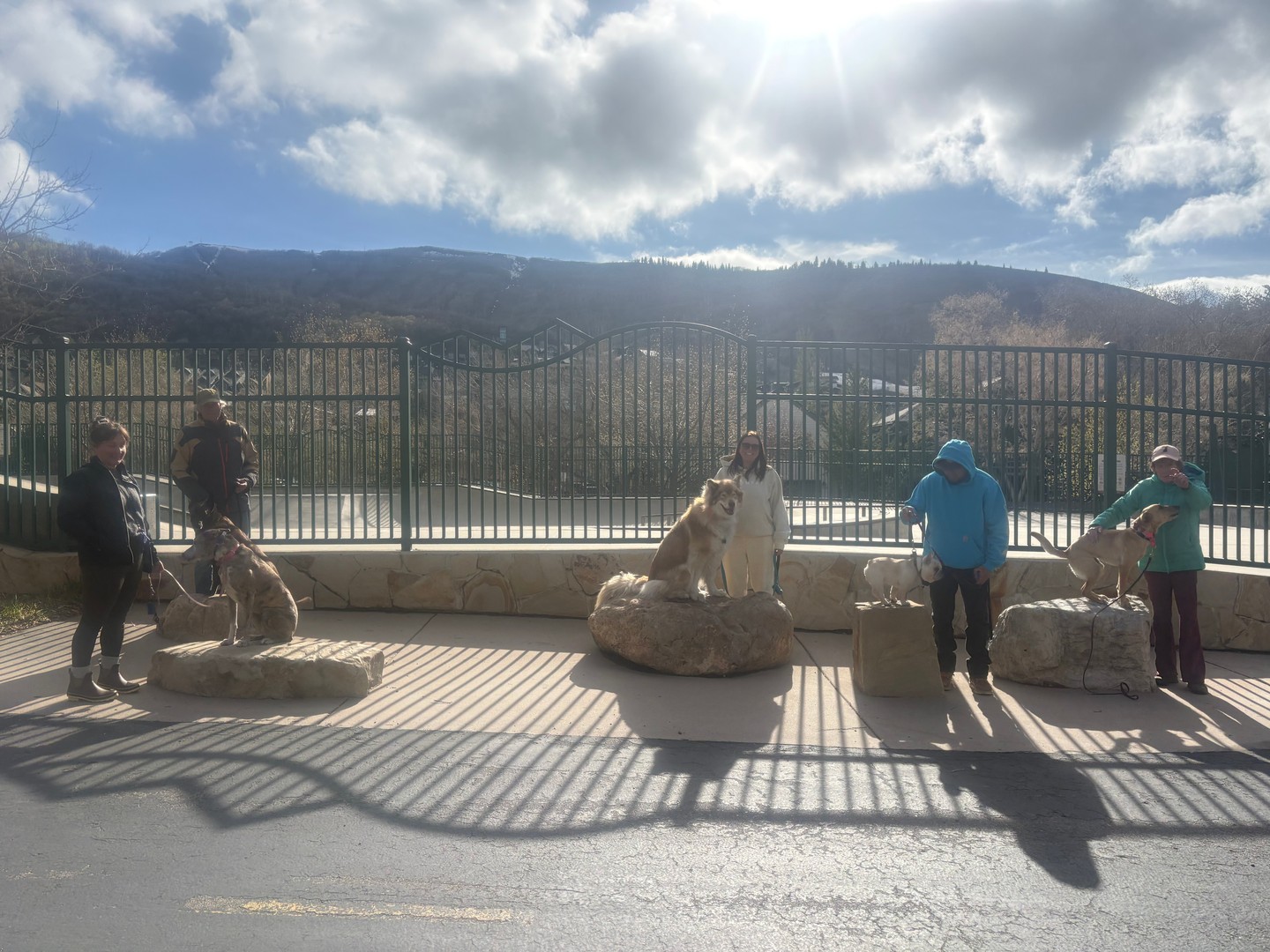 We had an awesome pack walk around City Park for our weekly group class! 🐾🌳

The rain let up just enough for us to get out, enjoy the fresh air, and put in some great work ☁️🐕

Outings like this are the perfect opportunity to use real-world surroundings for obedience practice&mdash;working on focus, leash manners, and staying engaged despite distractions.

From passing people to new sights and smells, these dogs stepped up and did a great job! 💪🐶

Training doesn&rsquo;t just happen in one place&mdash;it happens everywhere you go.

Proud of this crew for showing up and putting in the work! 👏🐾


